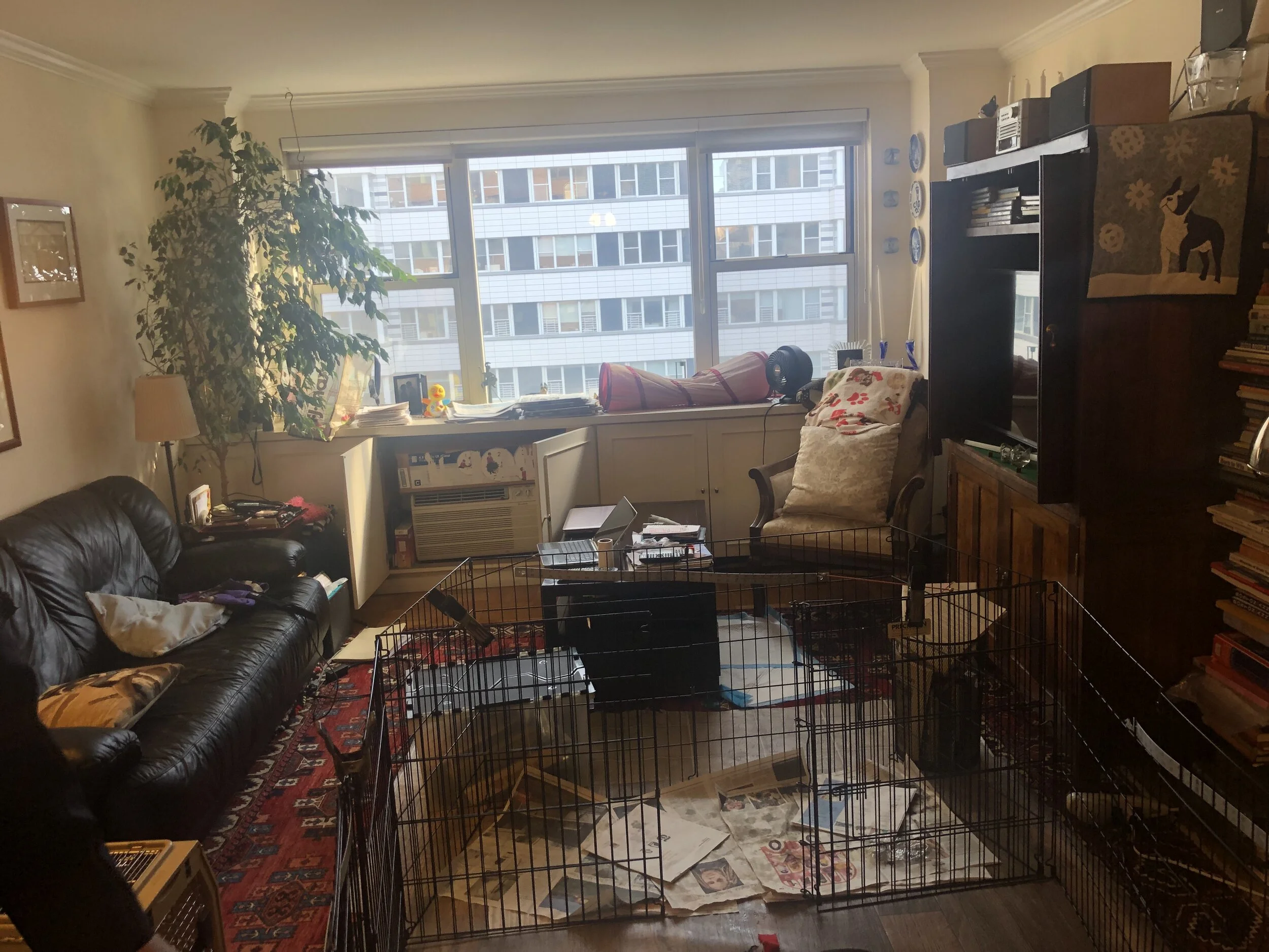 The Living Room - Before