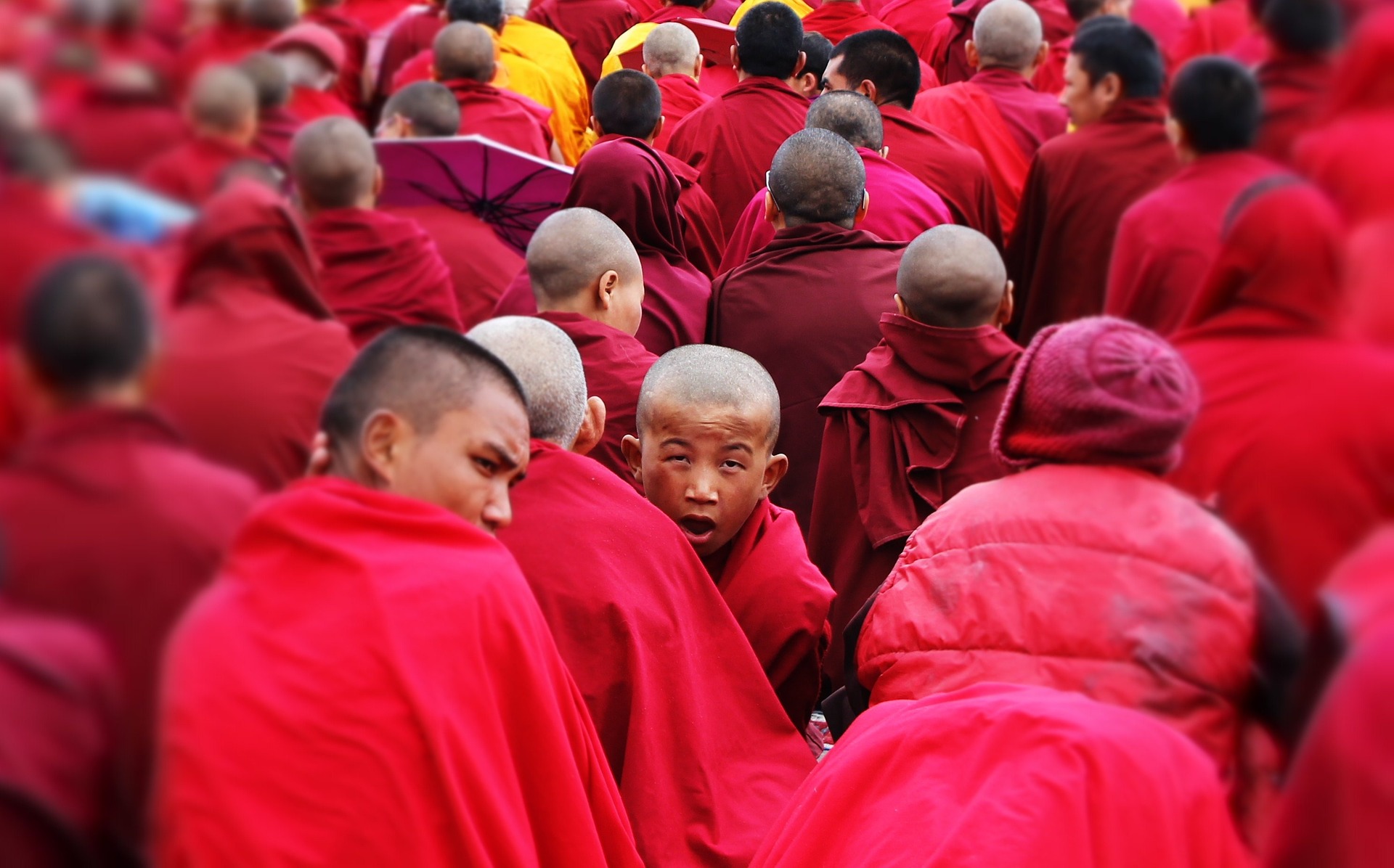 the-monks-722463_1920.jpg