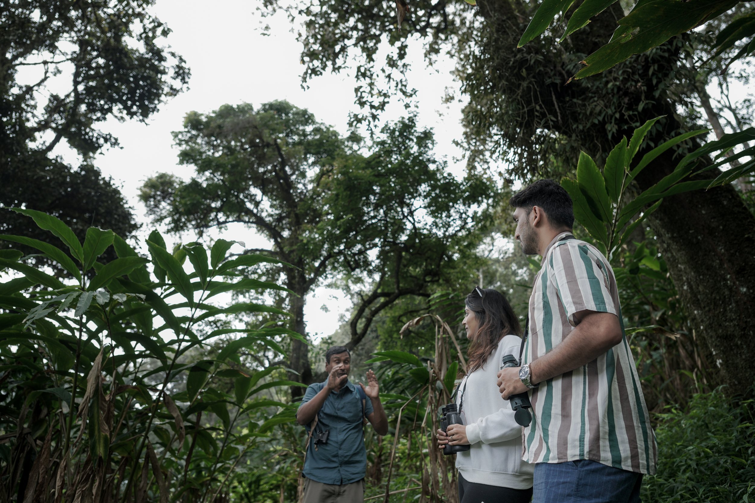 WALKING TRAIL AYURVEDA INDIA RETREAT.jpg