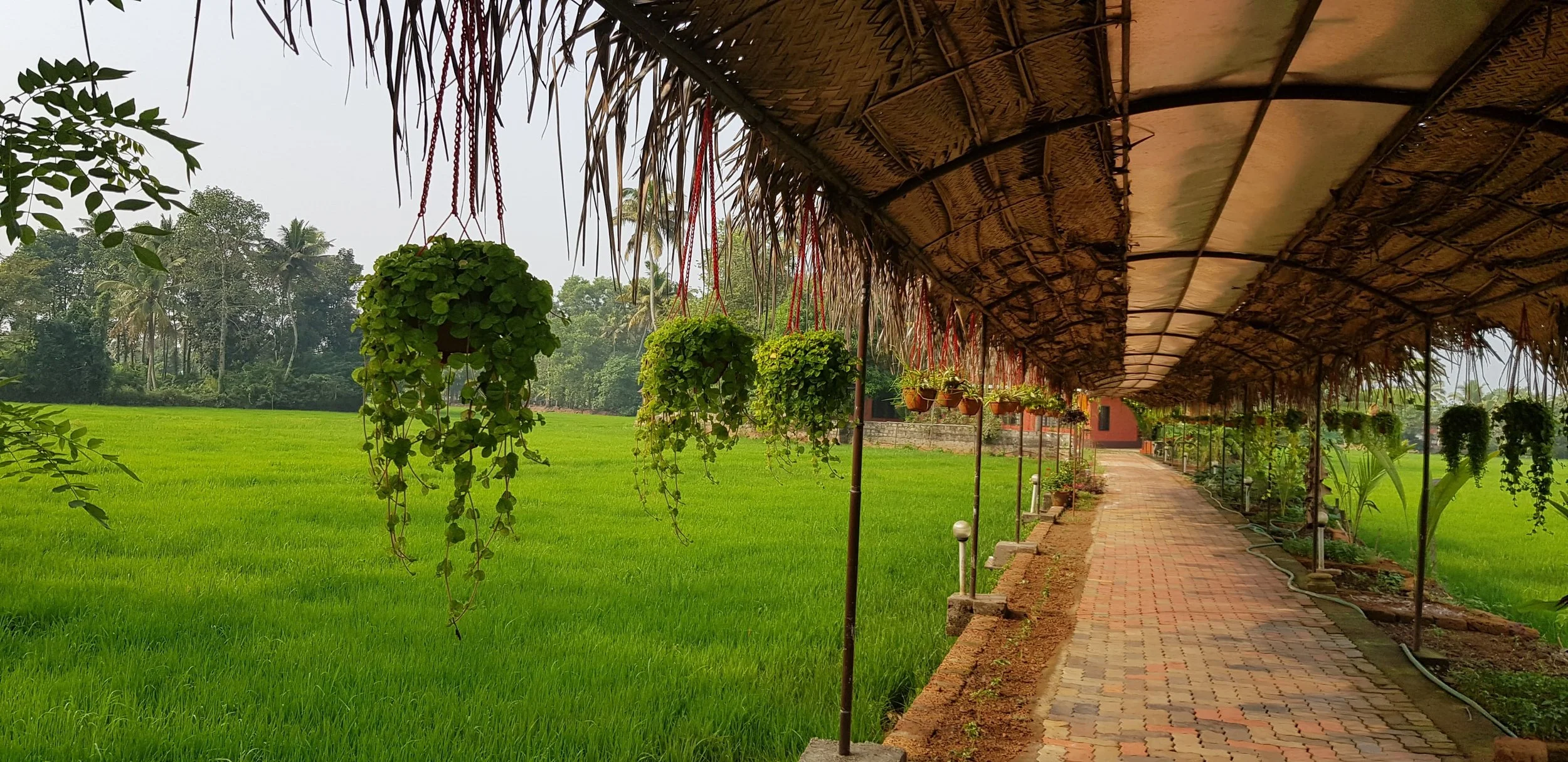 India Ayurveda Retreat ~ NEW