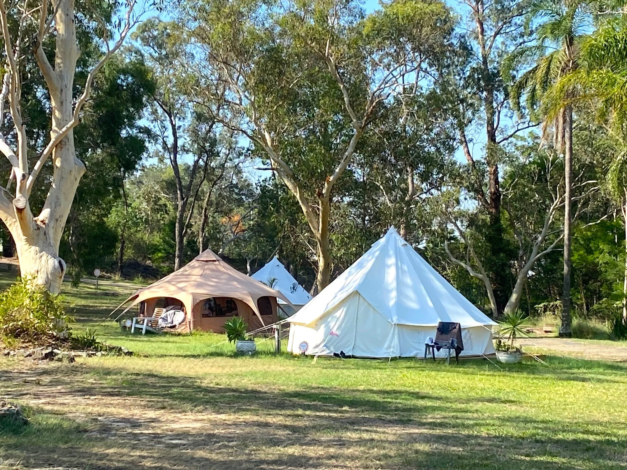 Glamping Tents.jpg