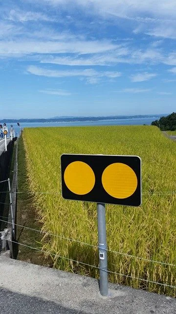 Angela Powell, Untitled (Yellow Sign), 2016, digital image.jpg