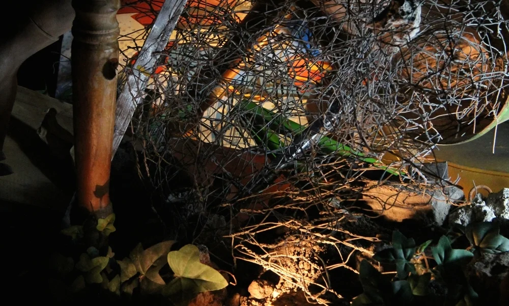 Dominic Kavanagh_beehive.invite2.jpg