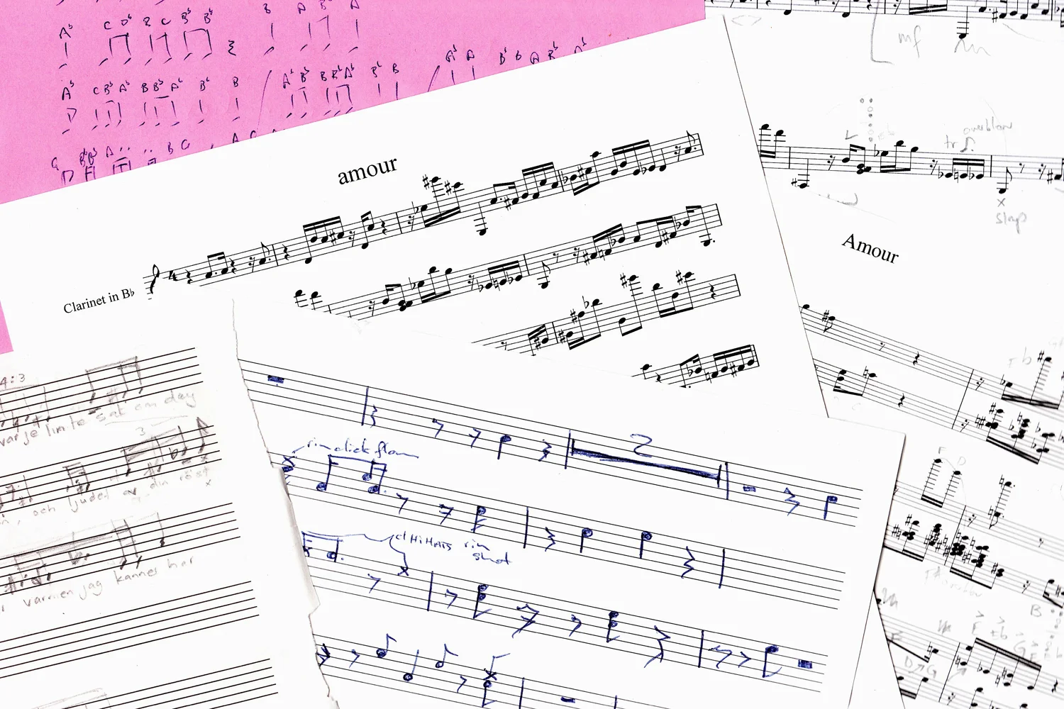 Danae Valenza - Phonologies .jpg