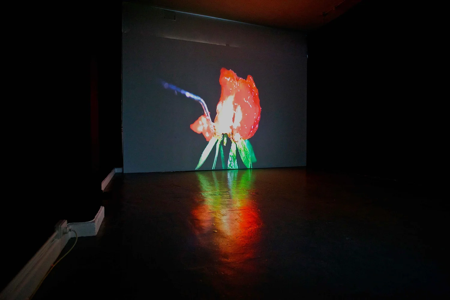 Claire_Anna_Watson_Sortie_video-install 3.jpg