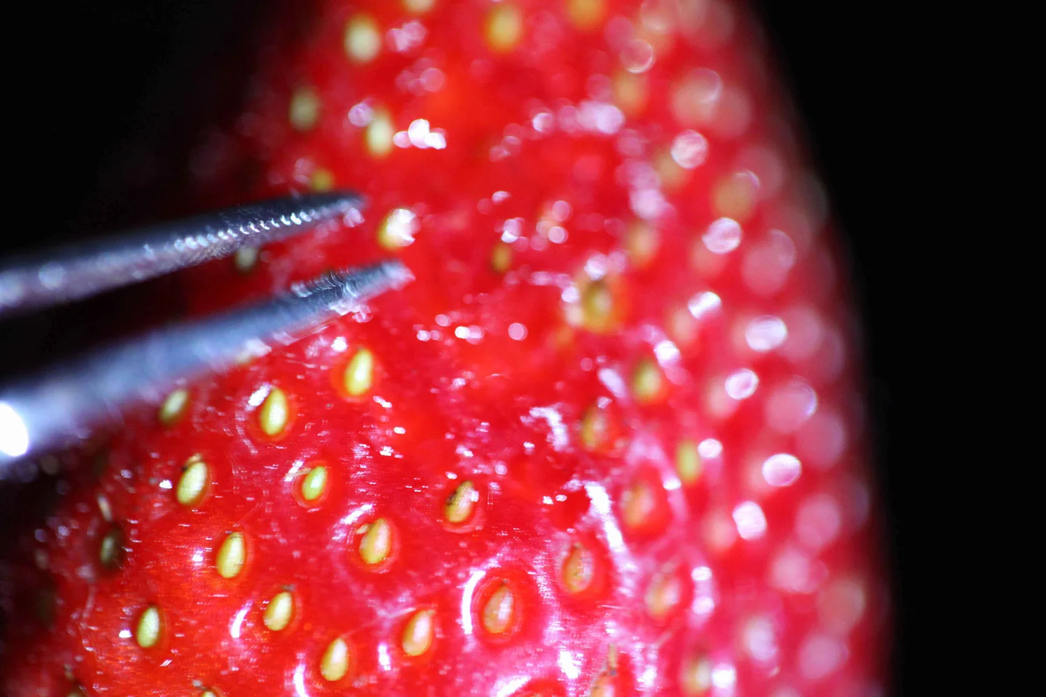 Claire_Anna_Watson_Sortie-2jpg