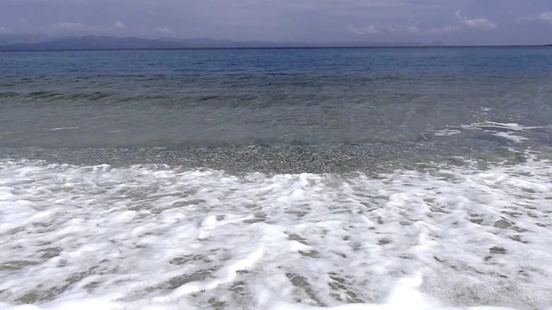 Cocoy Lumbao To The Reader.jpg