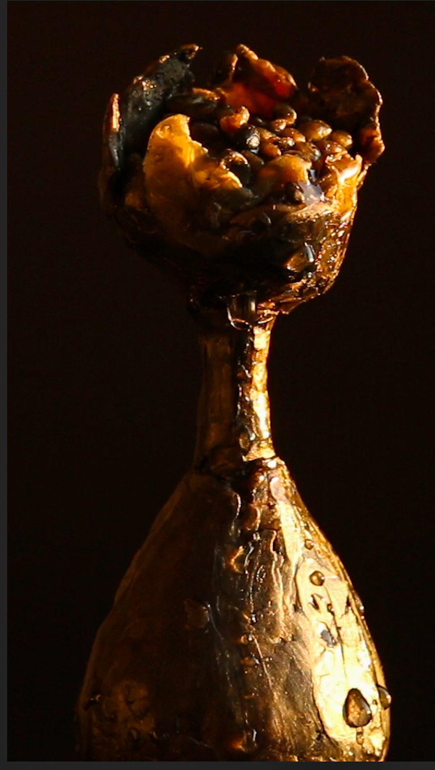  Michele Sierra,  Rasa , 2017, single channel video | Courtesy the artist 