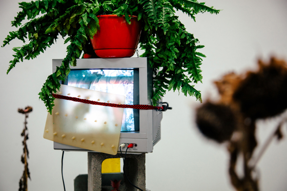  Haydn Allen,  When you have Friends think you have Treasures 1 , 2018, found and gifted objects and single-channel video, dimensions variable | Courtesy the artist. 