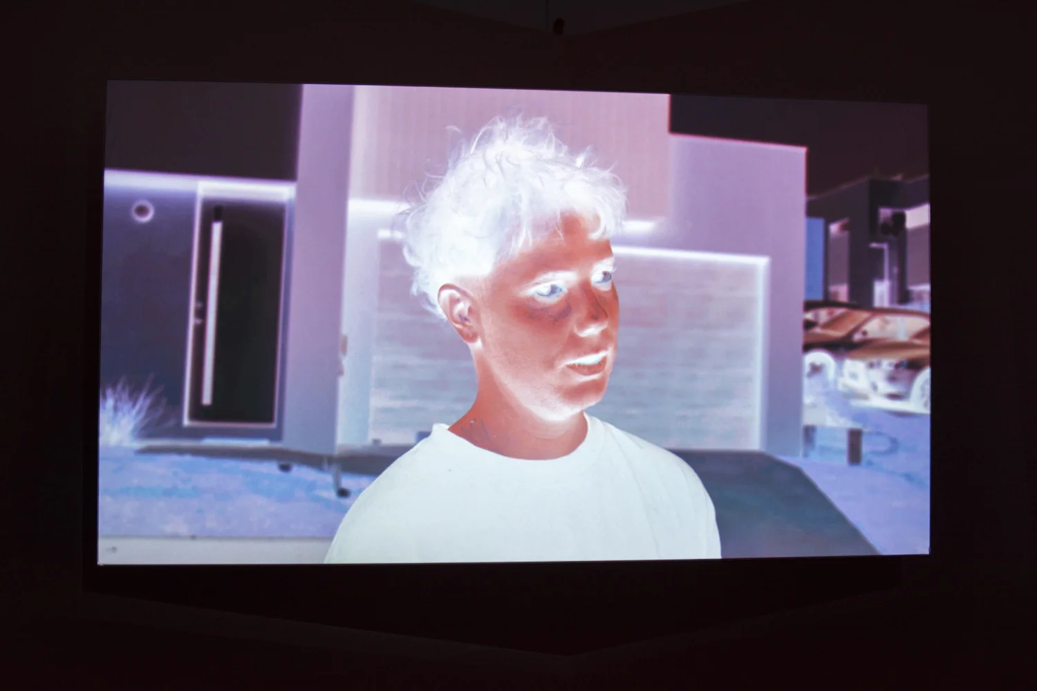  Archie Barry,  Fistimuff , 2019, installation detail, BLINDSIDE 2019. Photo: Talia Carroll | Courtesy the artist. 