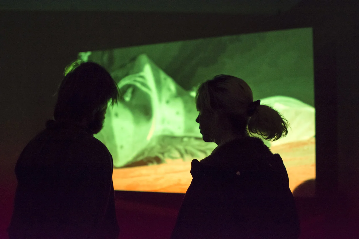  Archie Barry,  Fistimuff , 2019, installation detail, BLINDSIDE 2019. Photo: Talia Carroll | Courtesy the artist. 