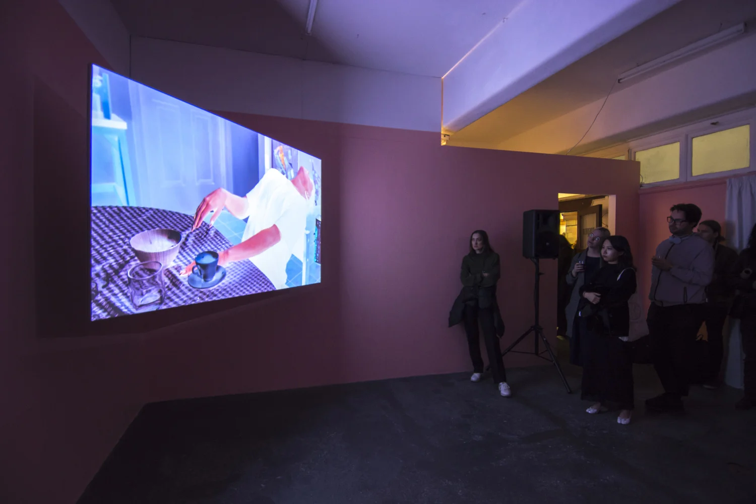  Archie Barry,  Fistimuff , 2019, installation detail, BLINDSIDE 2019. Photo: Talia Carroll | Courtesy the artist. 