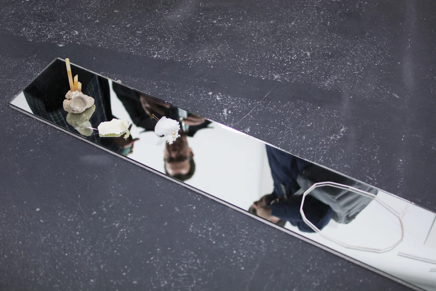   Pelagic , 2019, installation detail, BLINDSIDE 2019. Photo: Talia Carroll | Courtesy the artists. 