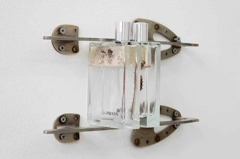 Spencer Lai - untitled, 2016, Ice skate blades, Prada Amber pour Homme bottles, dried seahorse..png