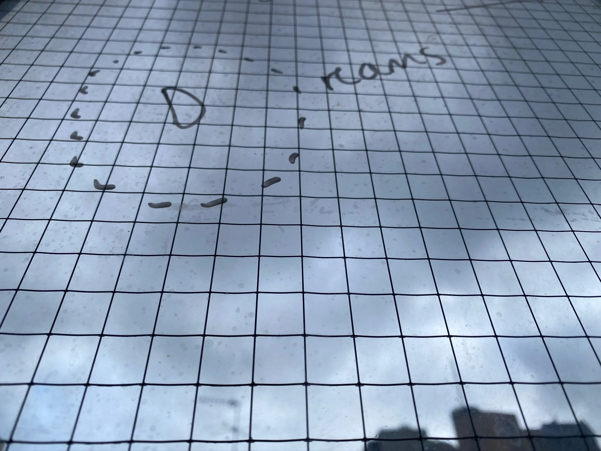  Amaara Raheem,  300 micro-fictions , BLINDSIDE 2020 | Courtesy the artist 