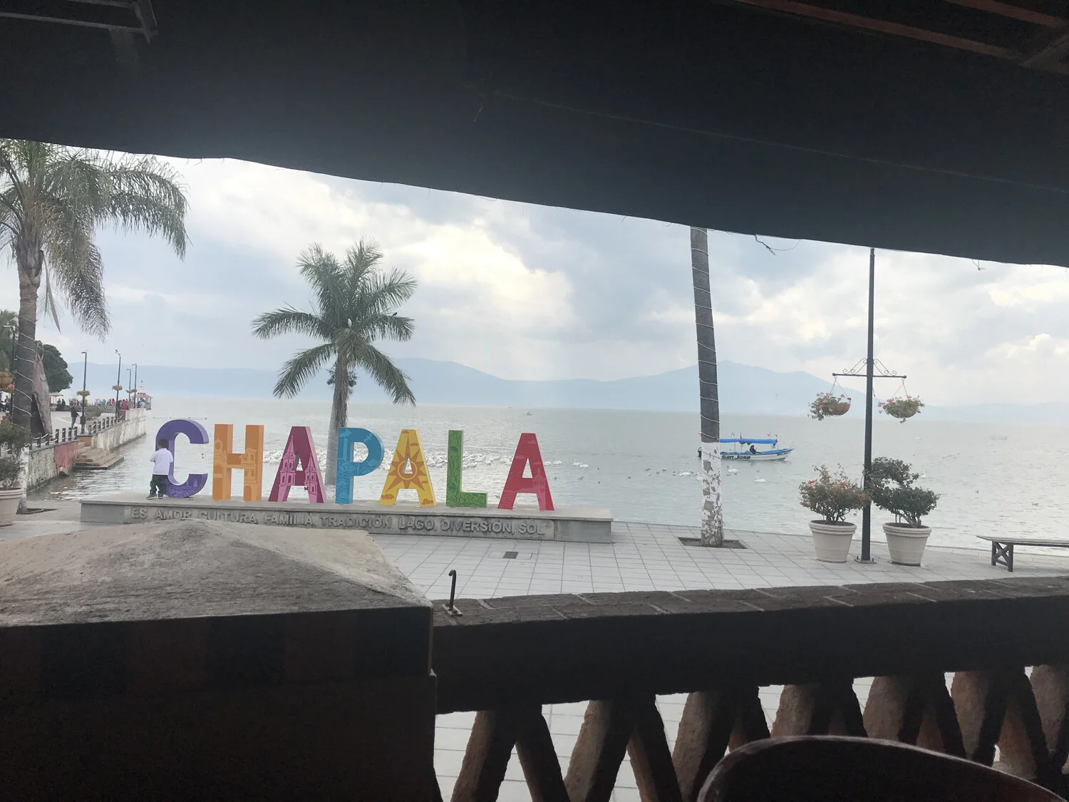  Nat Grant,  Momentum: Chapala  | Courtesy the artist. 