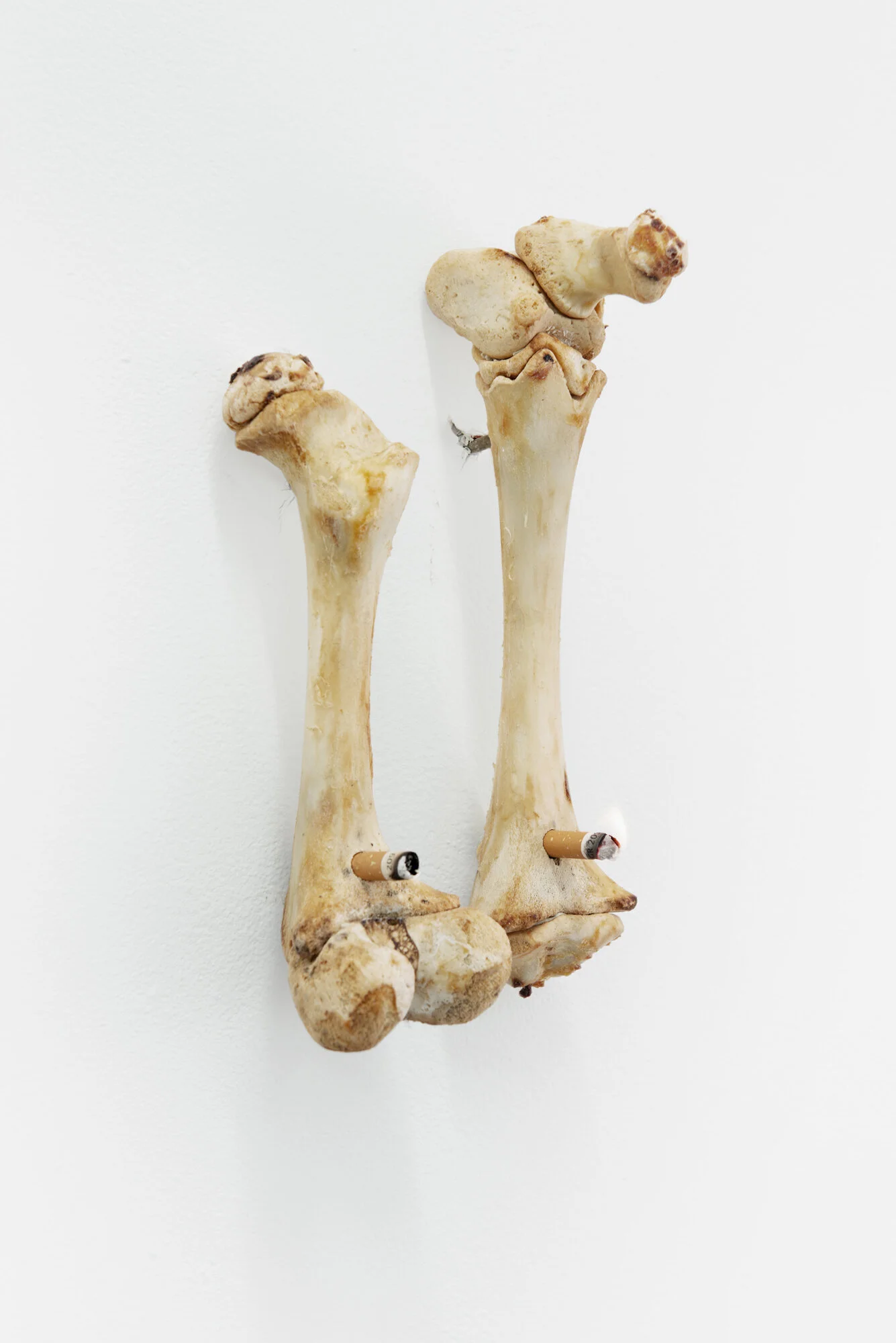   All Worlds Are Flat,   Blindside 2021.. Courtesy the artist. 