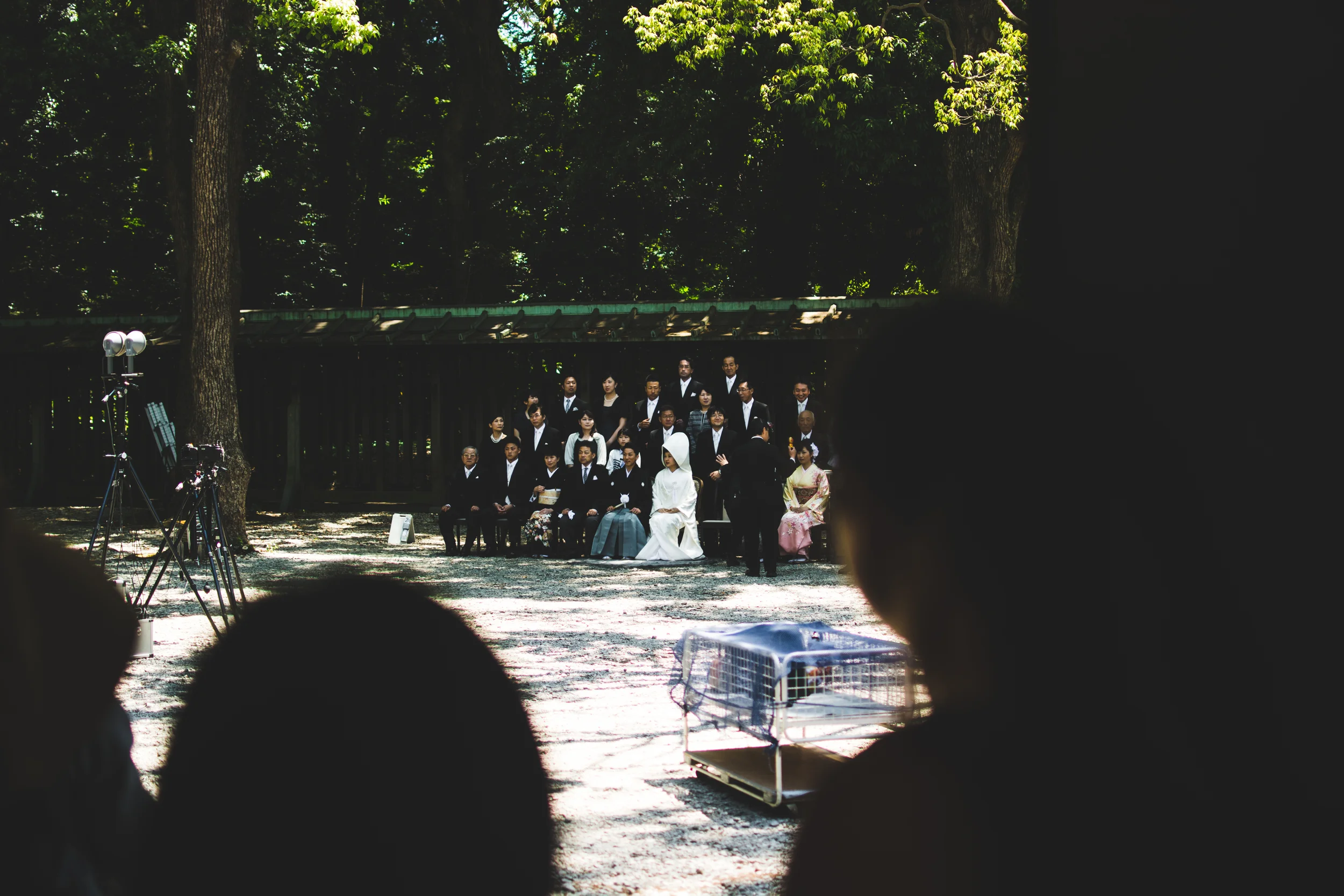 yoyogi park