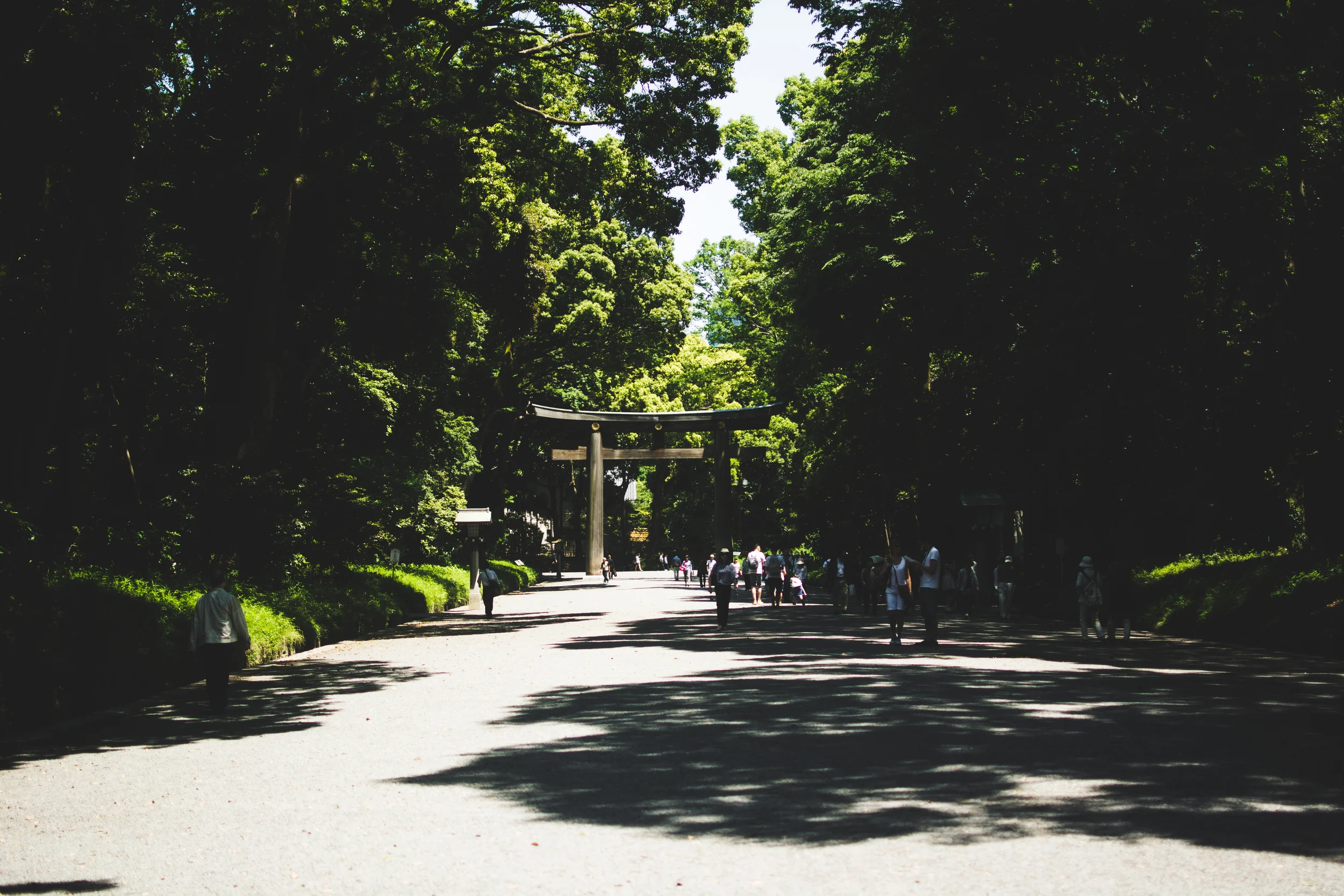 yoyogi park
