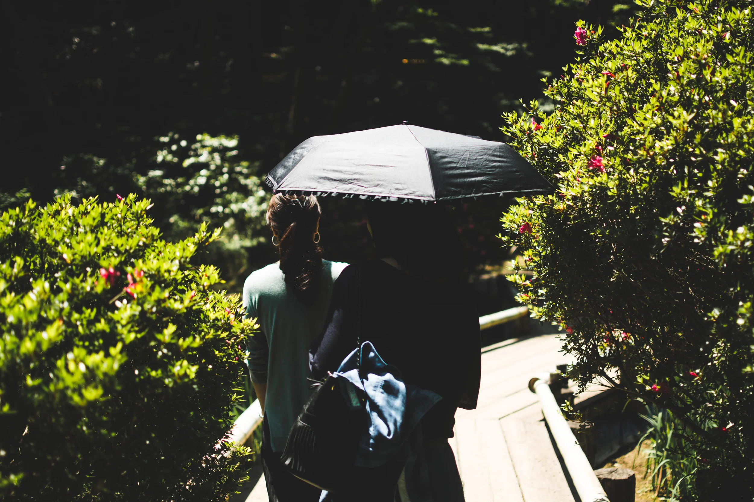 yoyogi park