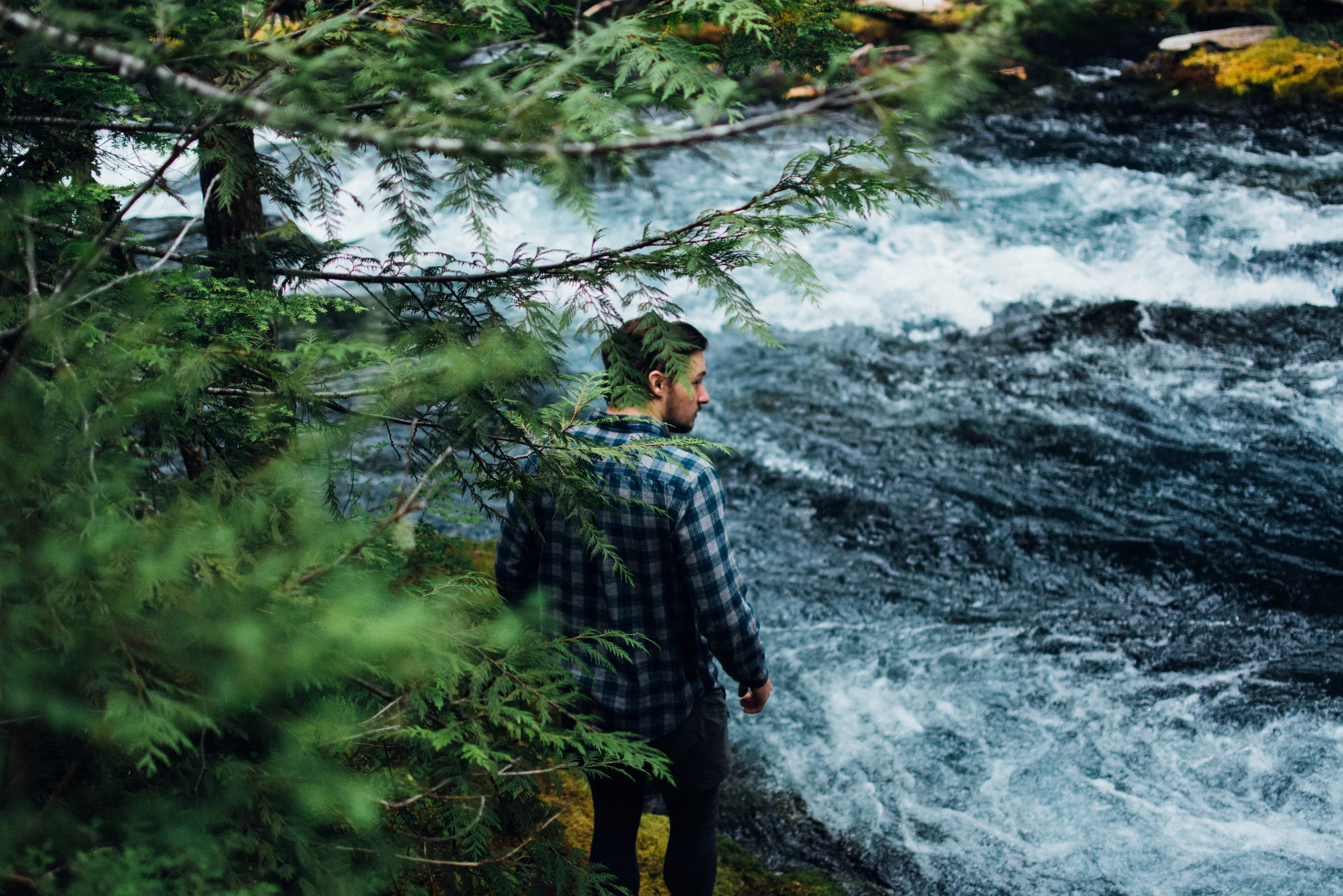 mckenzie river