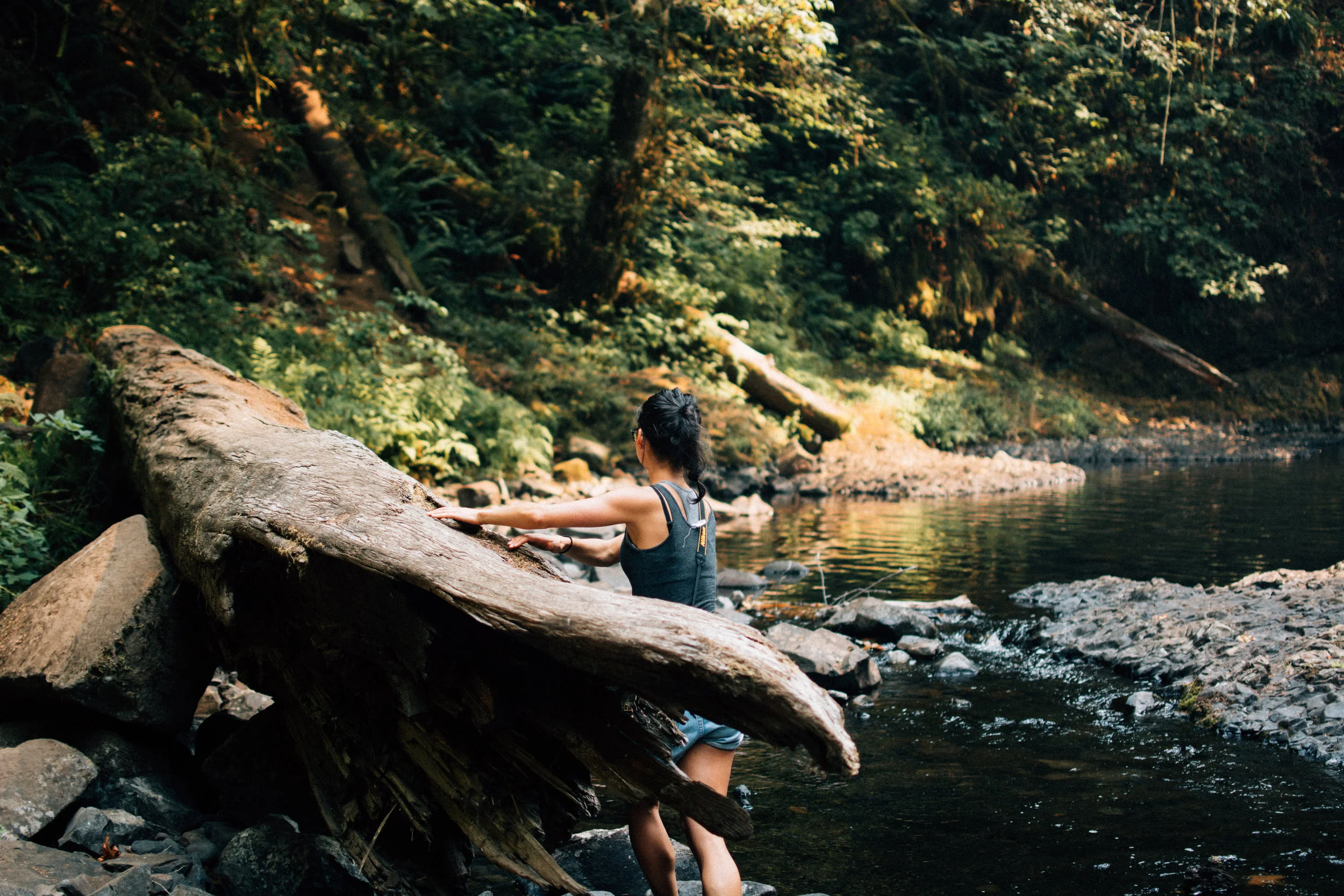 silver creek falls