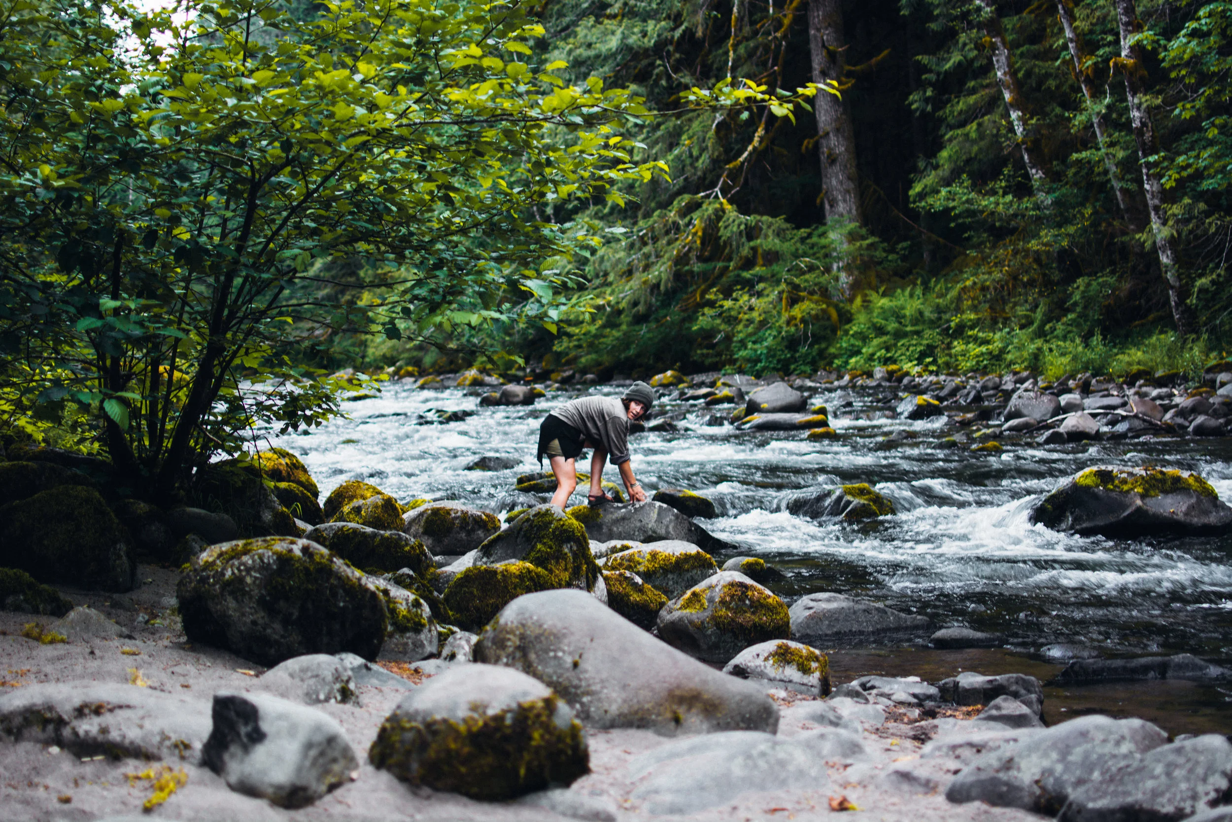 salmon creek