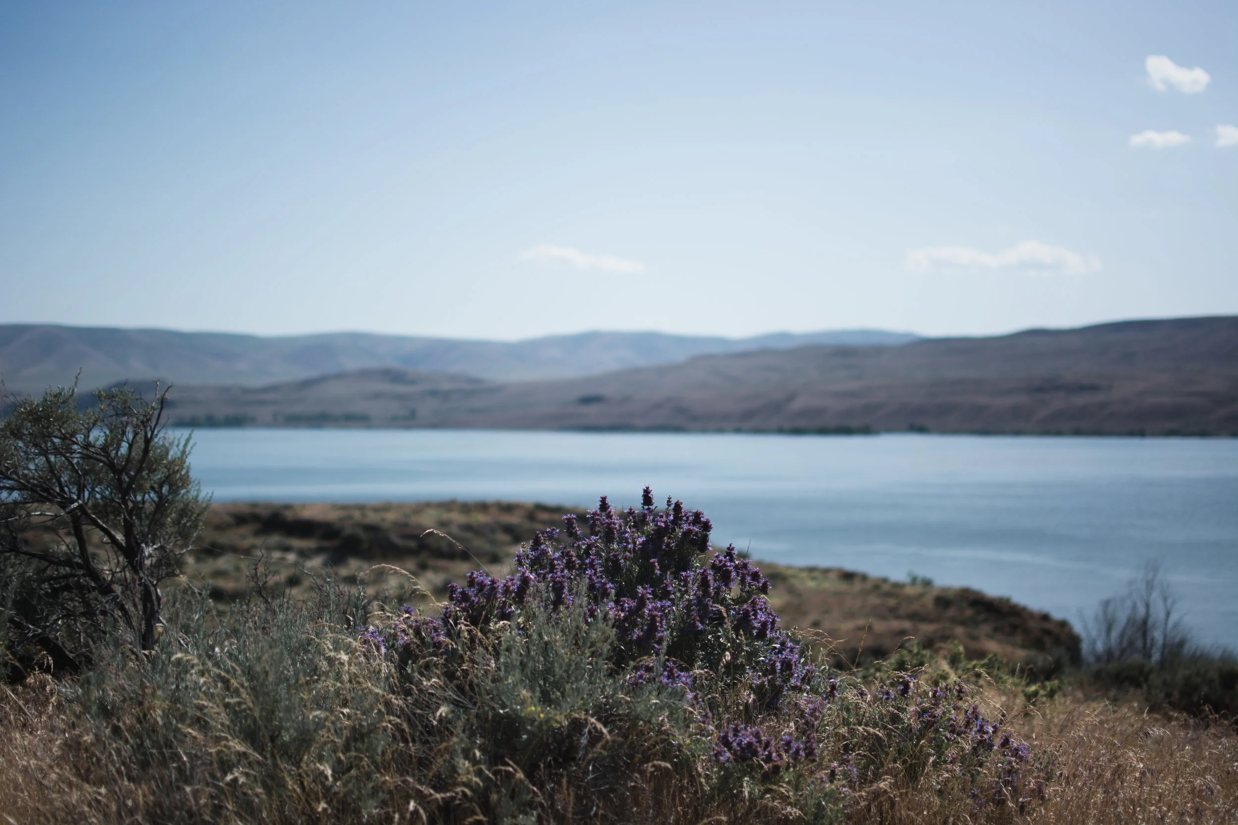 wanapum lake