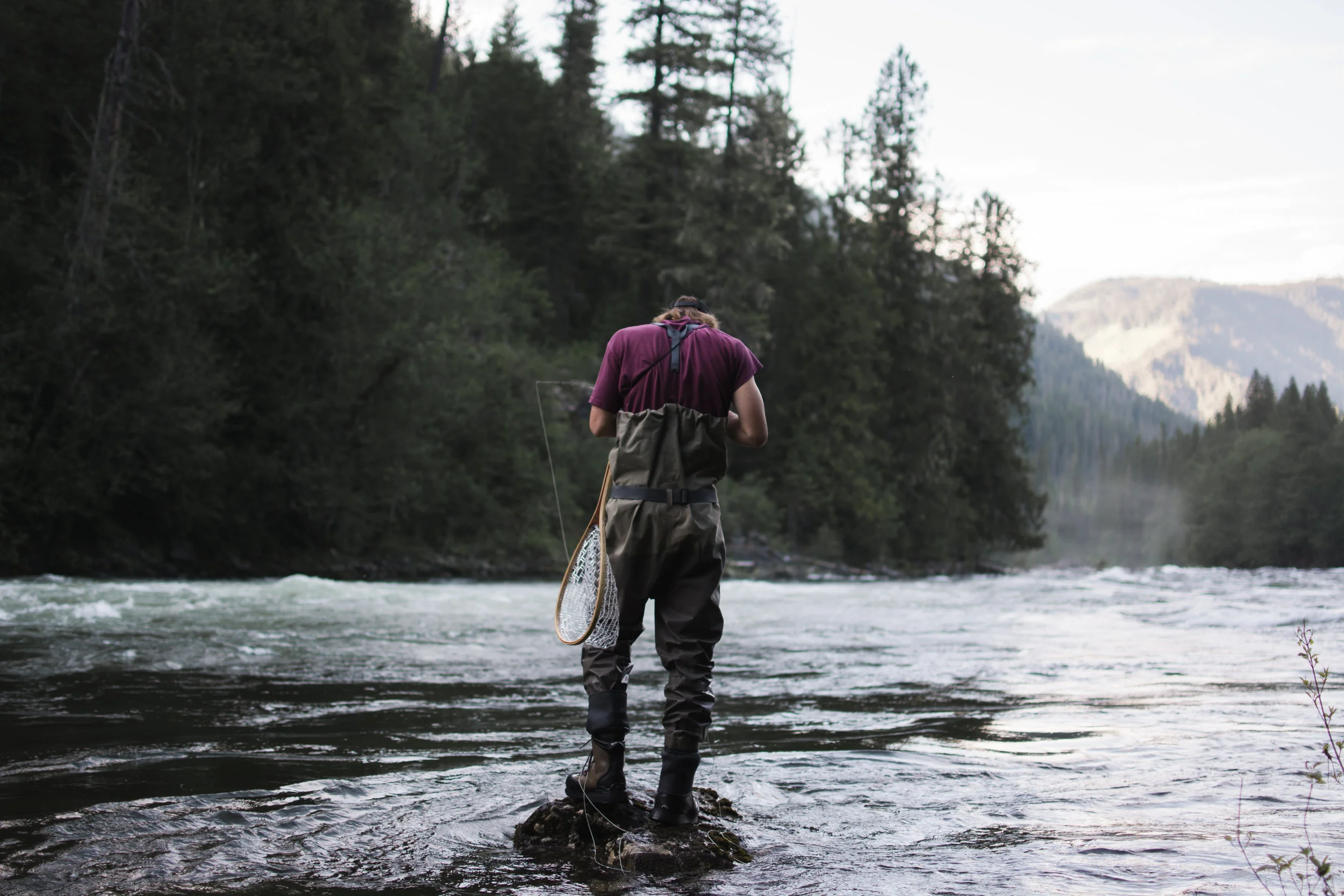 north fork clearwater river