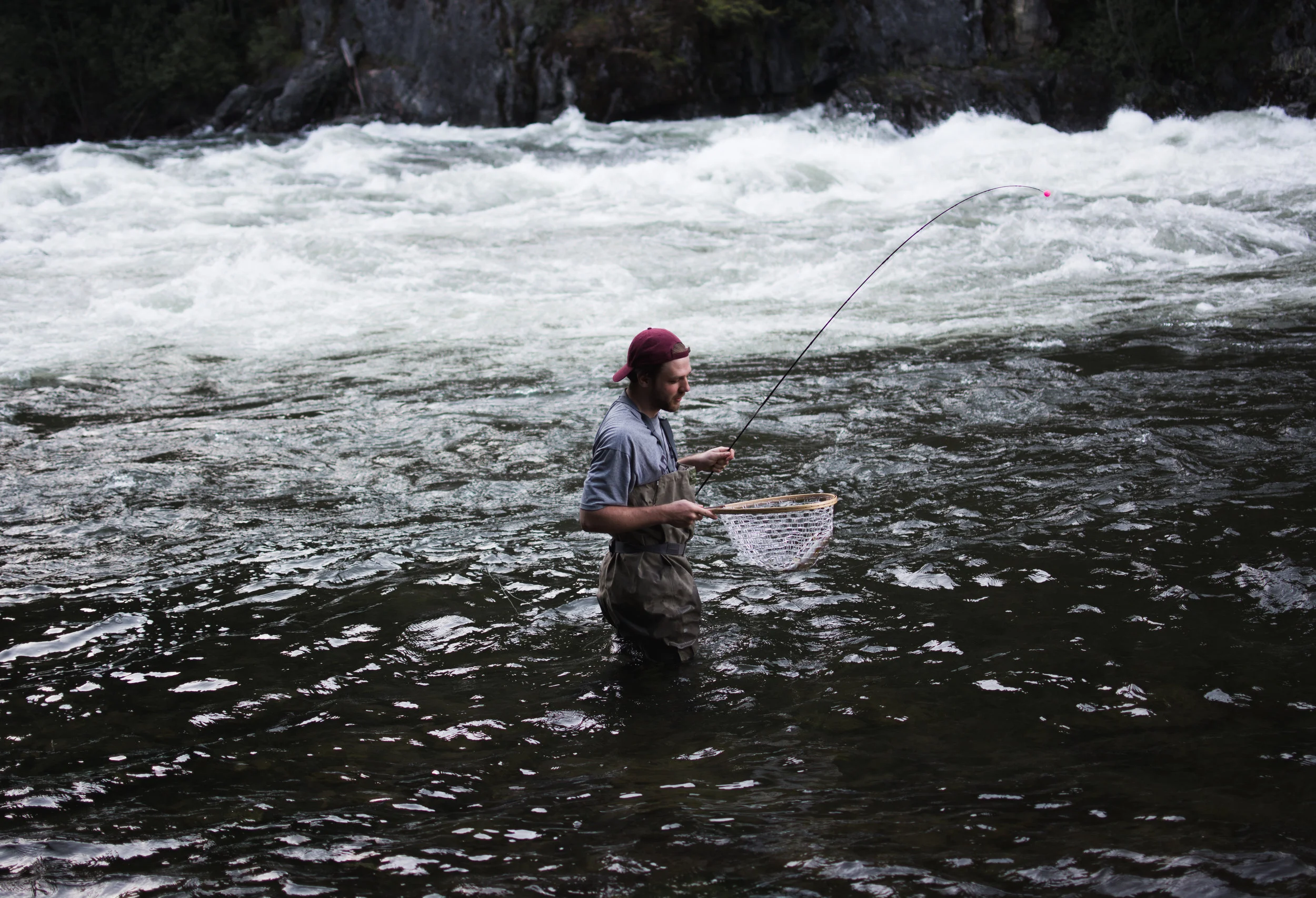north fork clearwater river