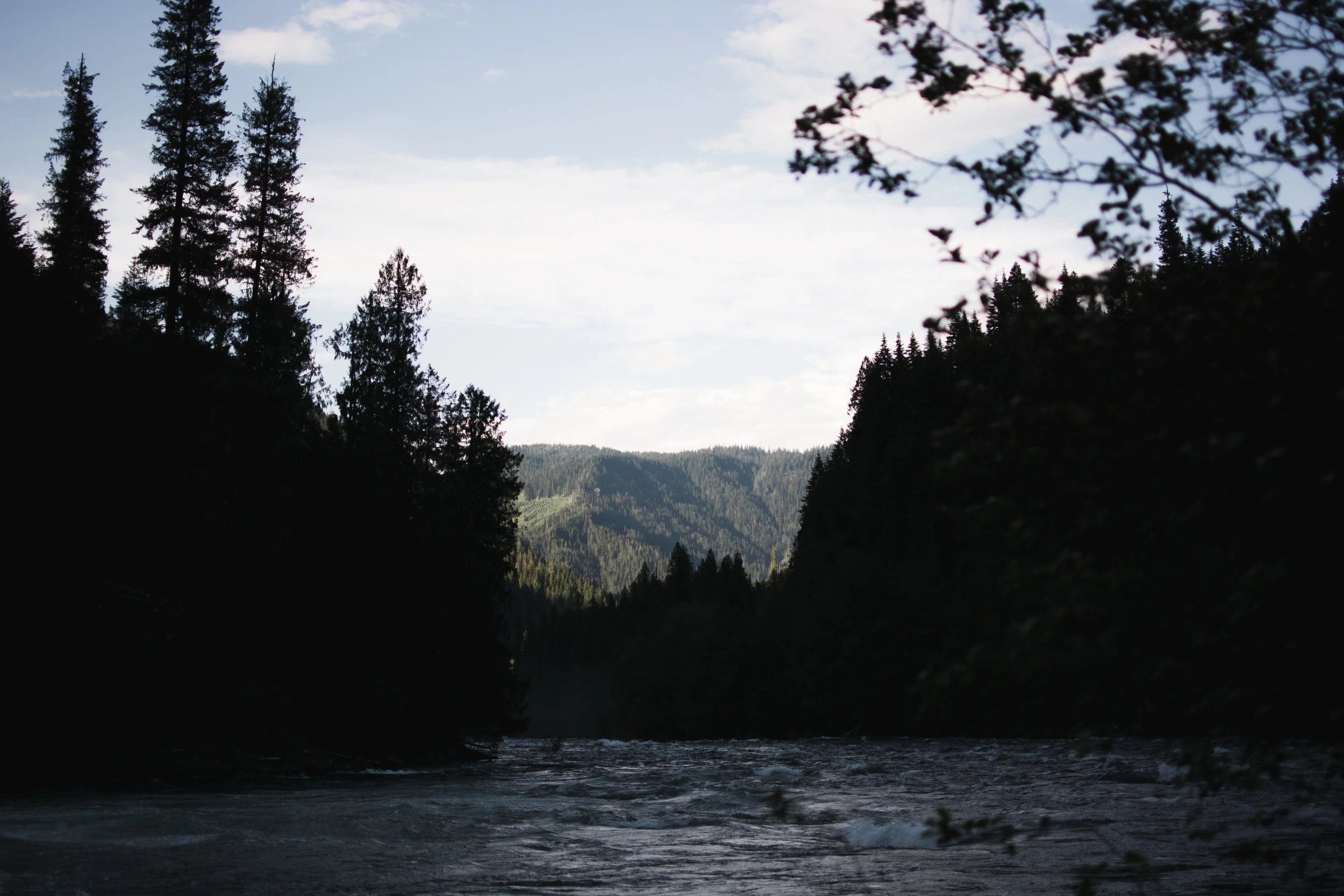 north fork clearwater river