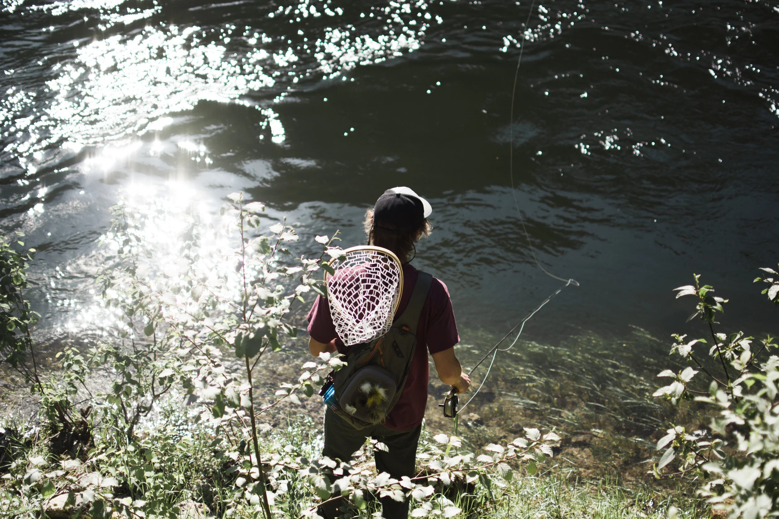 north fork clearwater river