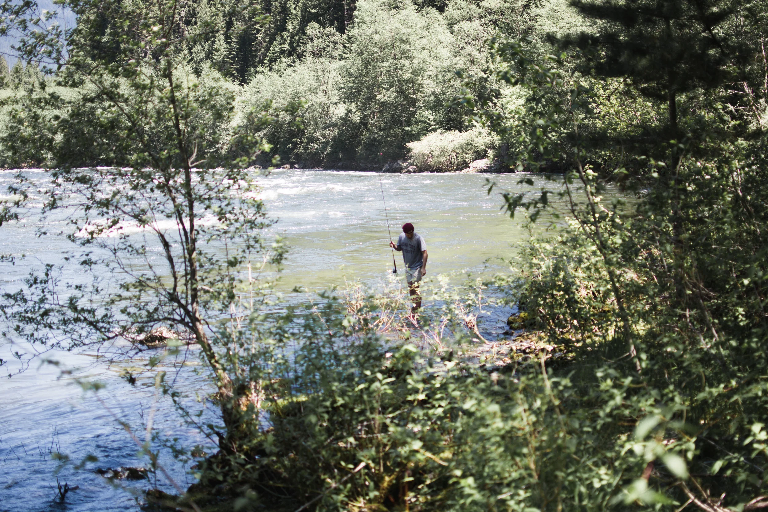 north fork clearwater river