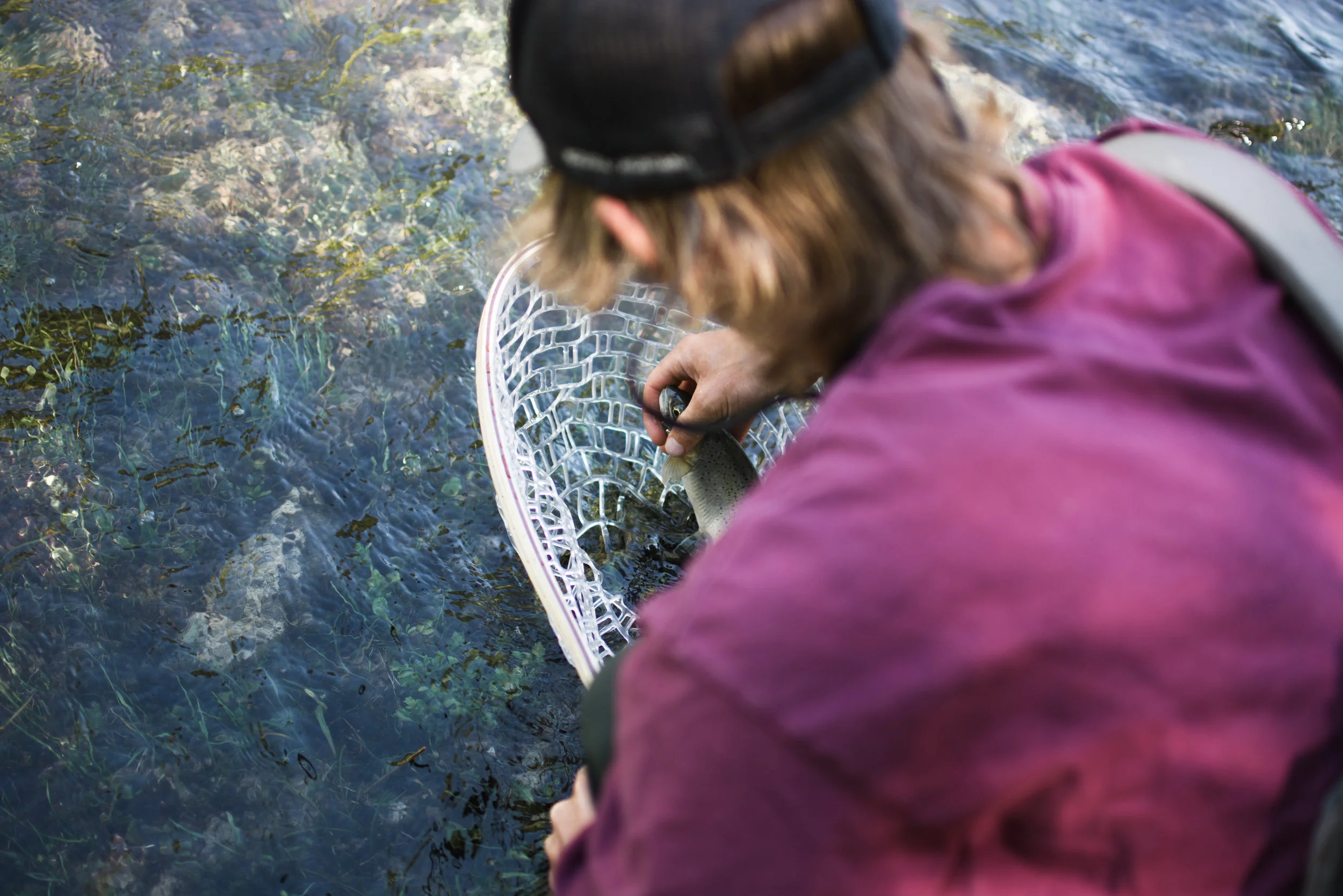 north fork clearwater river