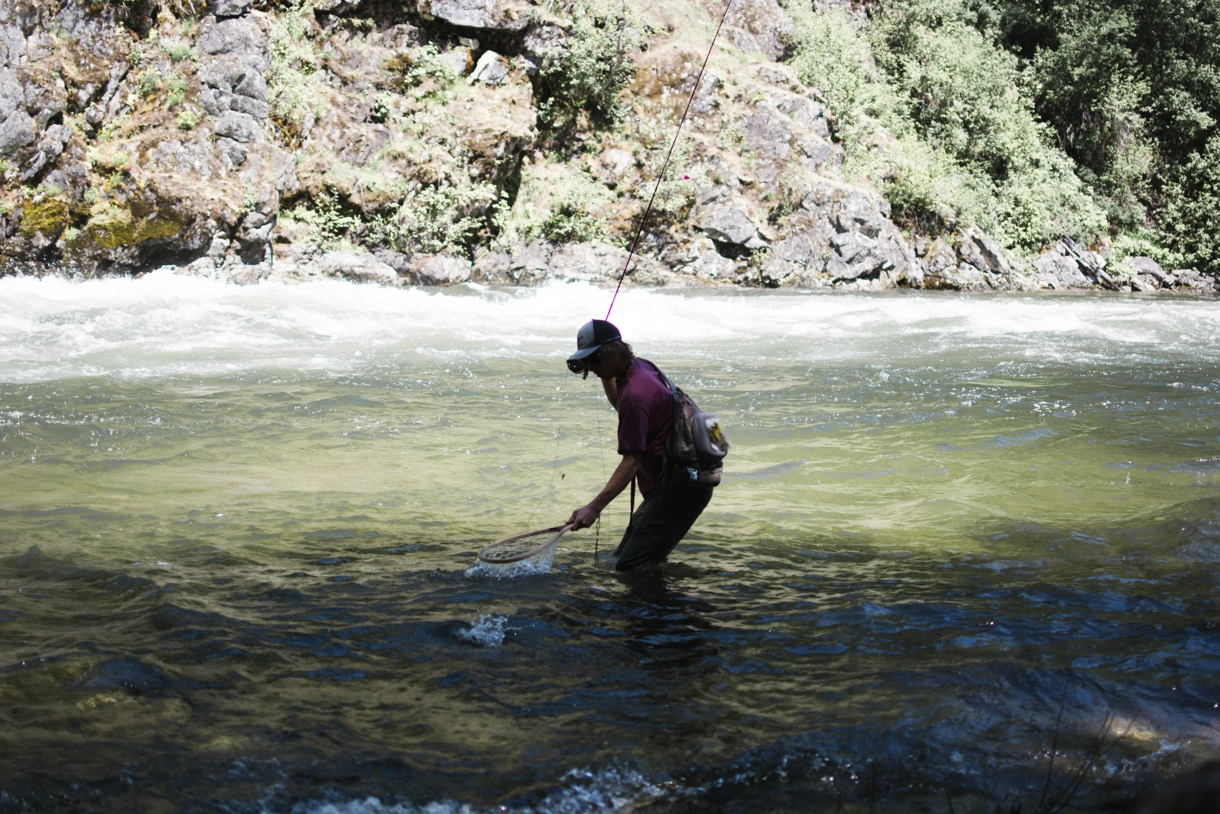 north fork clearwater river