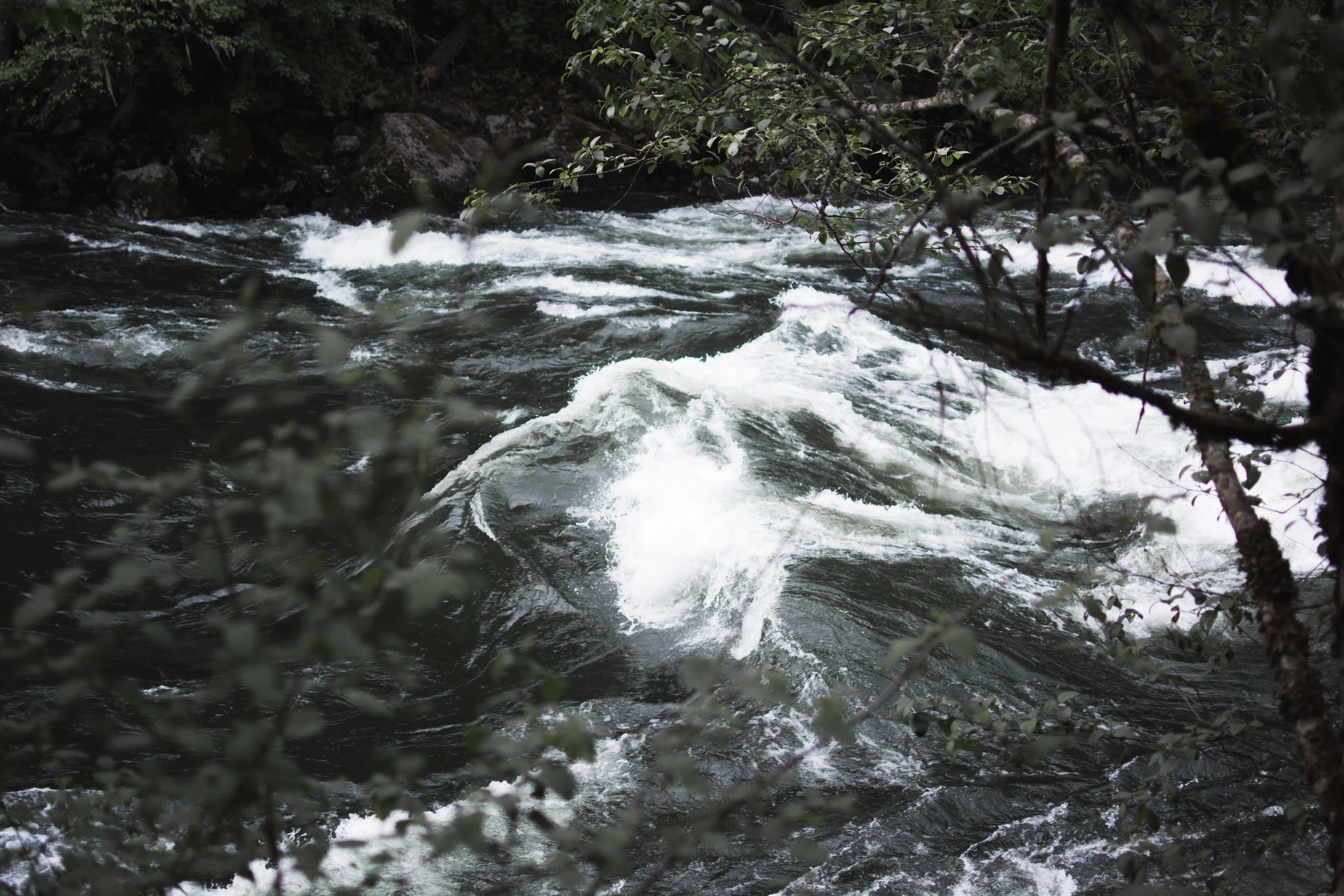 north fork clearwater river