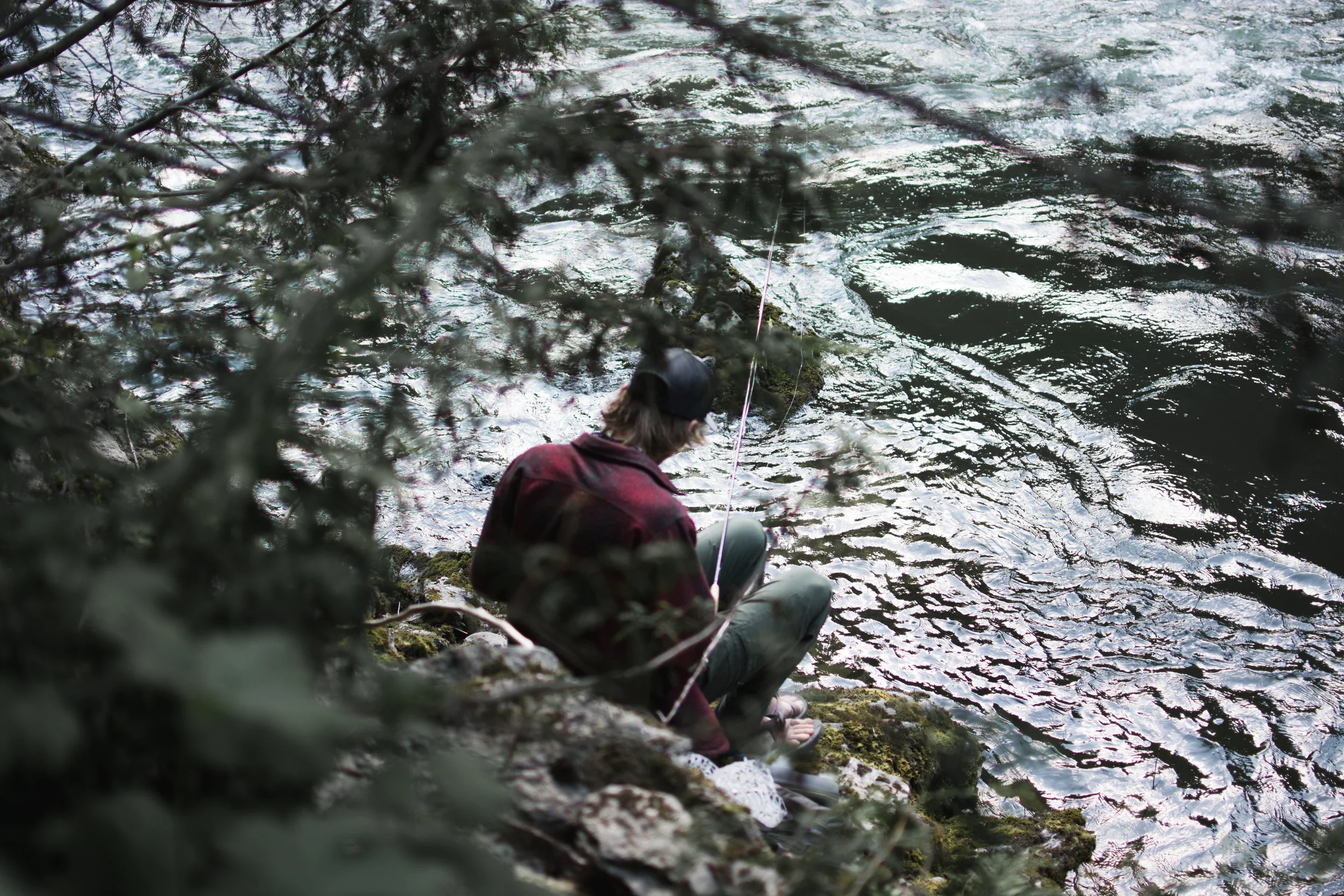 north fork clearwater river
