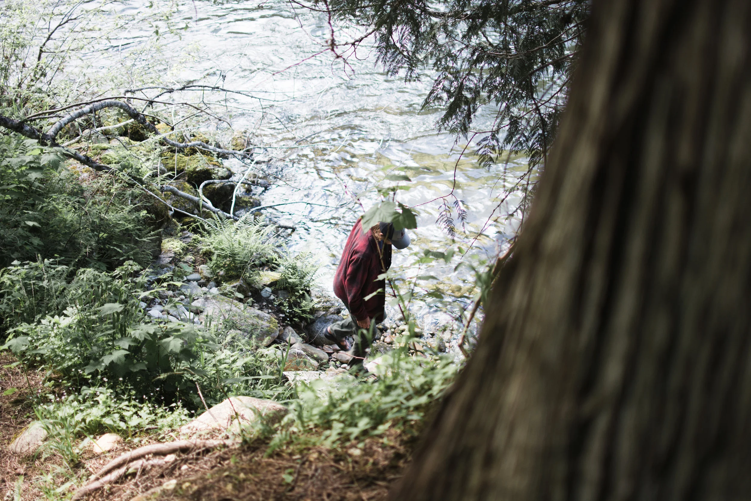 north fork clearwater river