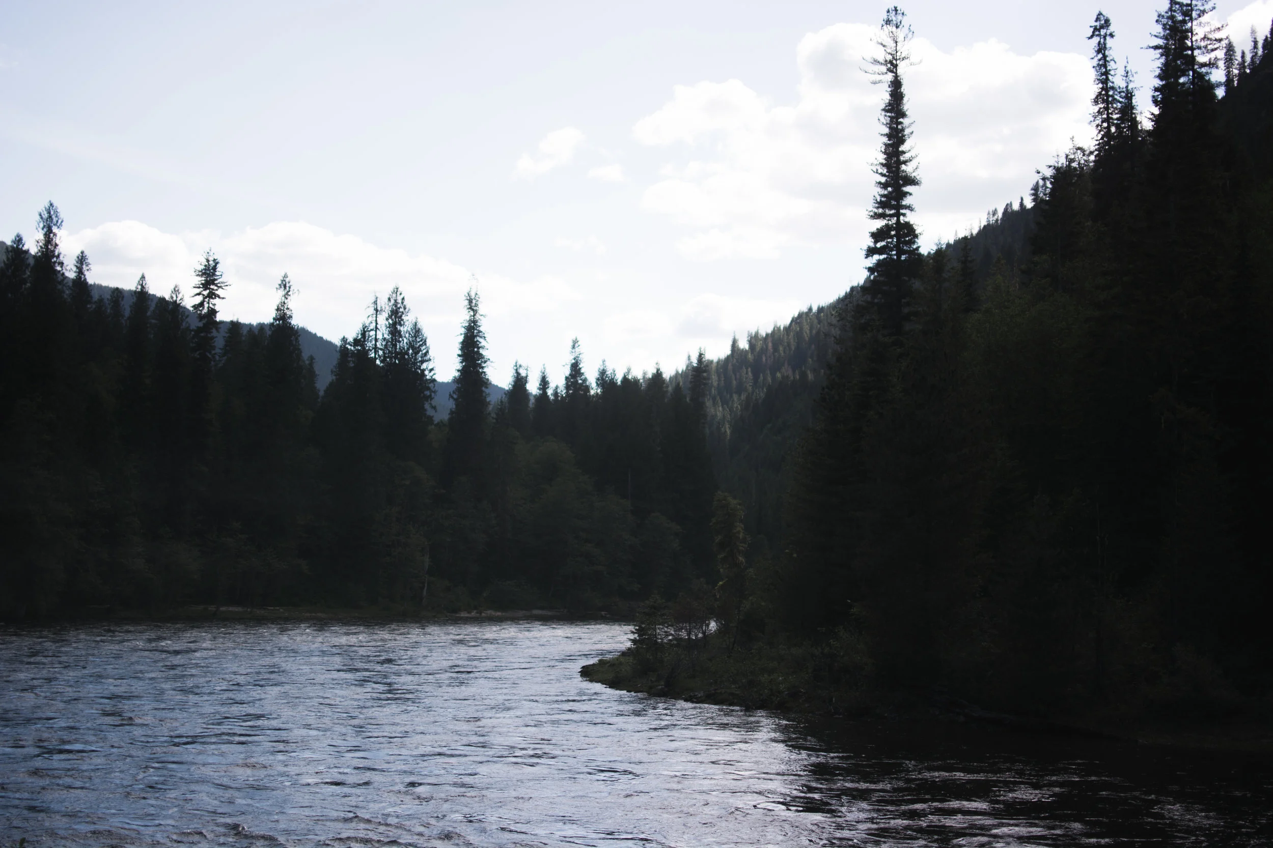 north fork clearwater river