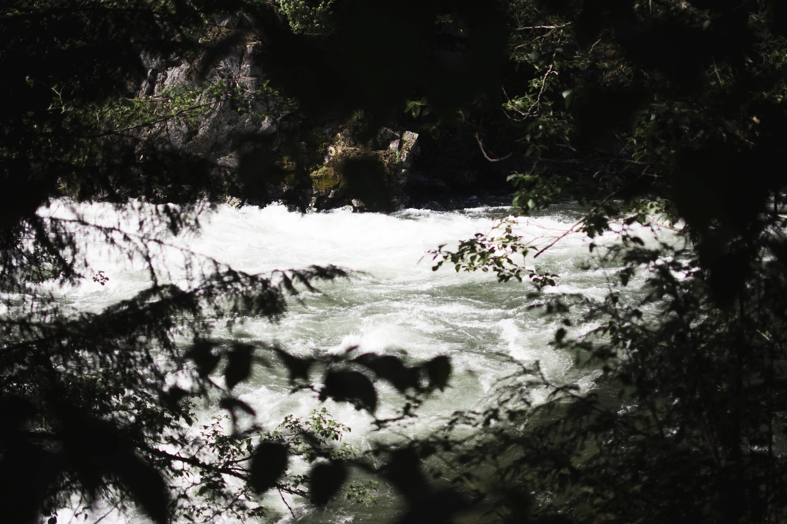 north fork clearwater river