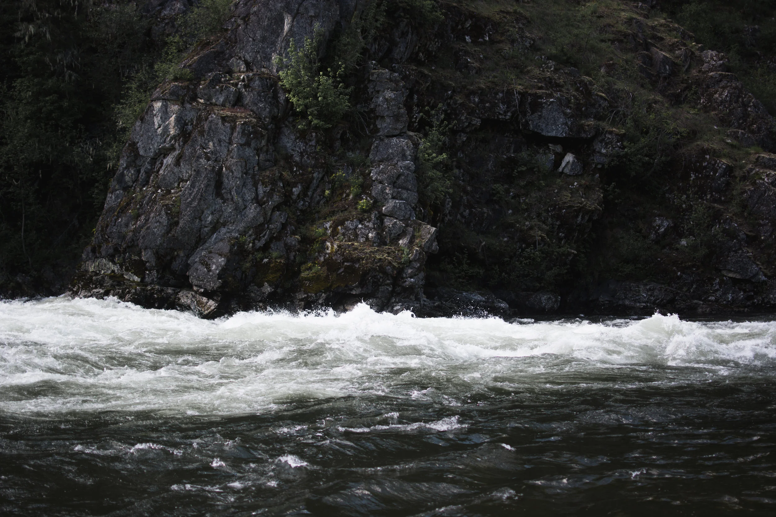 north fork clearwater river