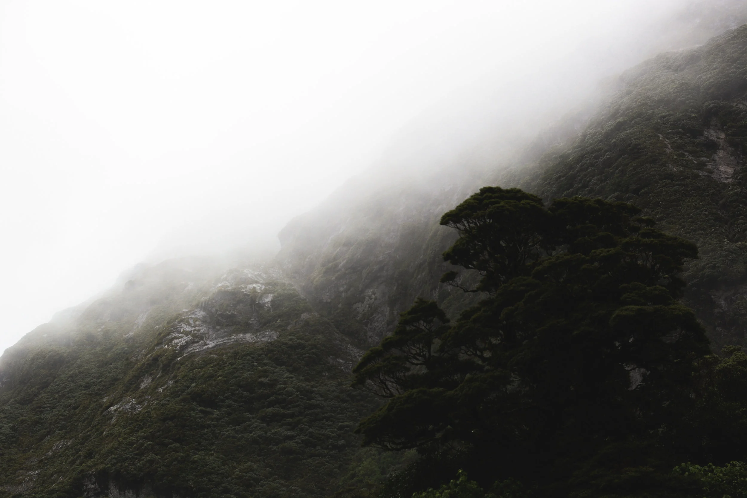 doubtful sound