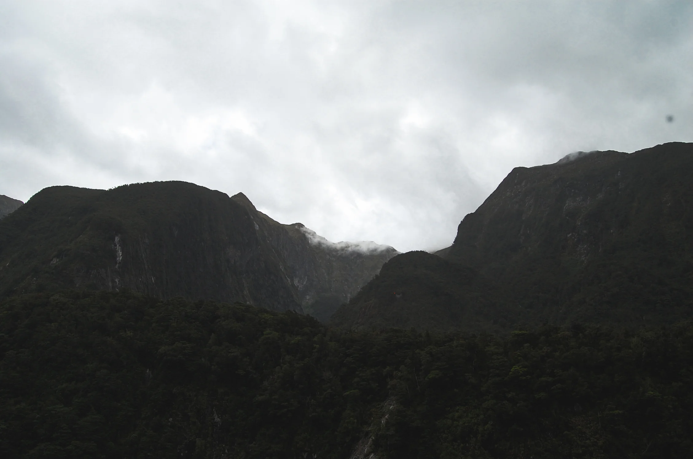 doubtful sound