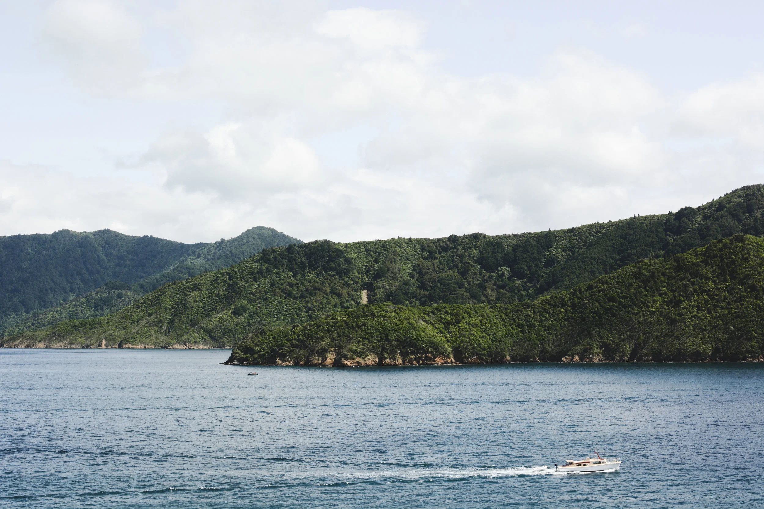 picton