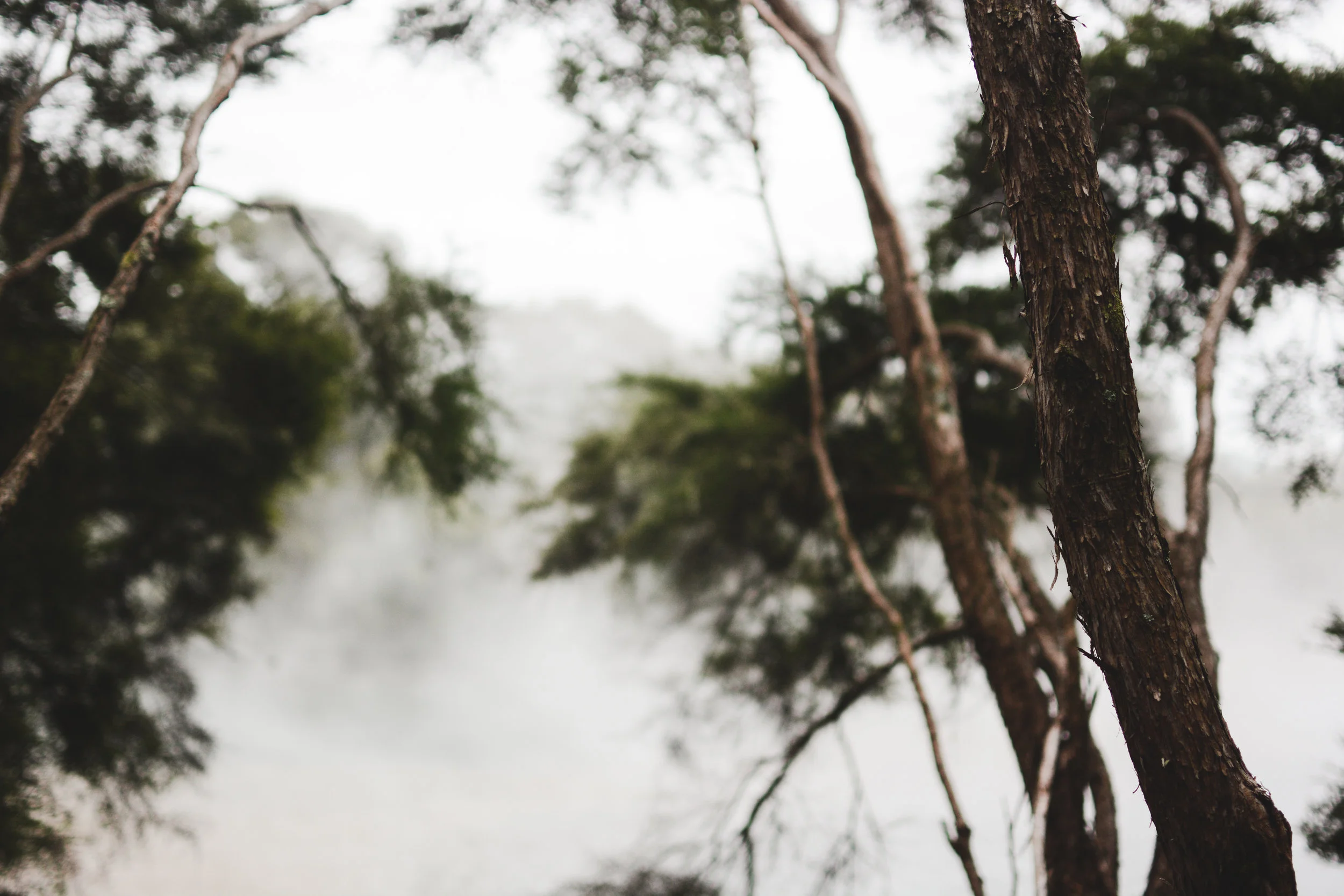 rotorua
