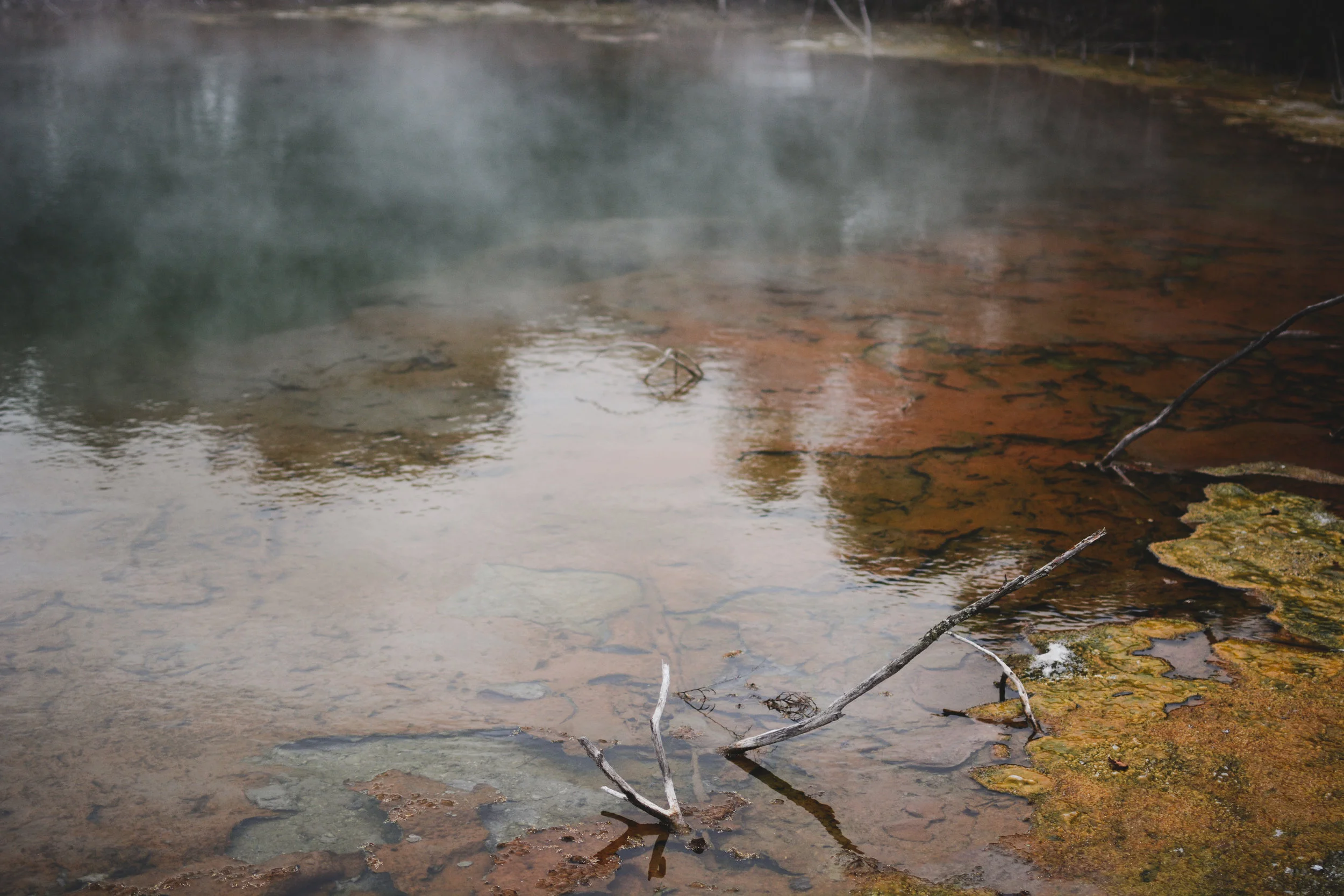 rotorua
