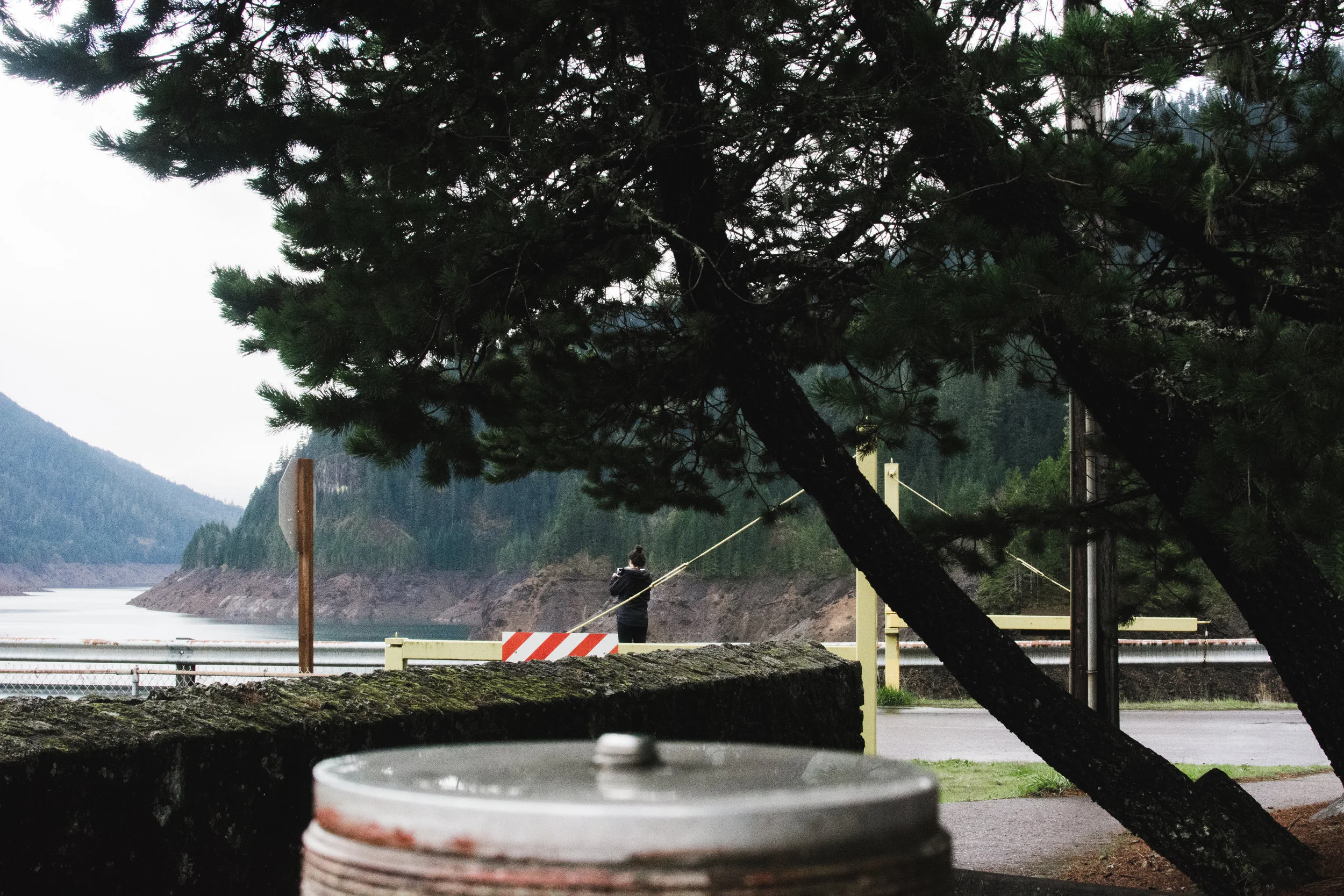 cougar hot springs