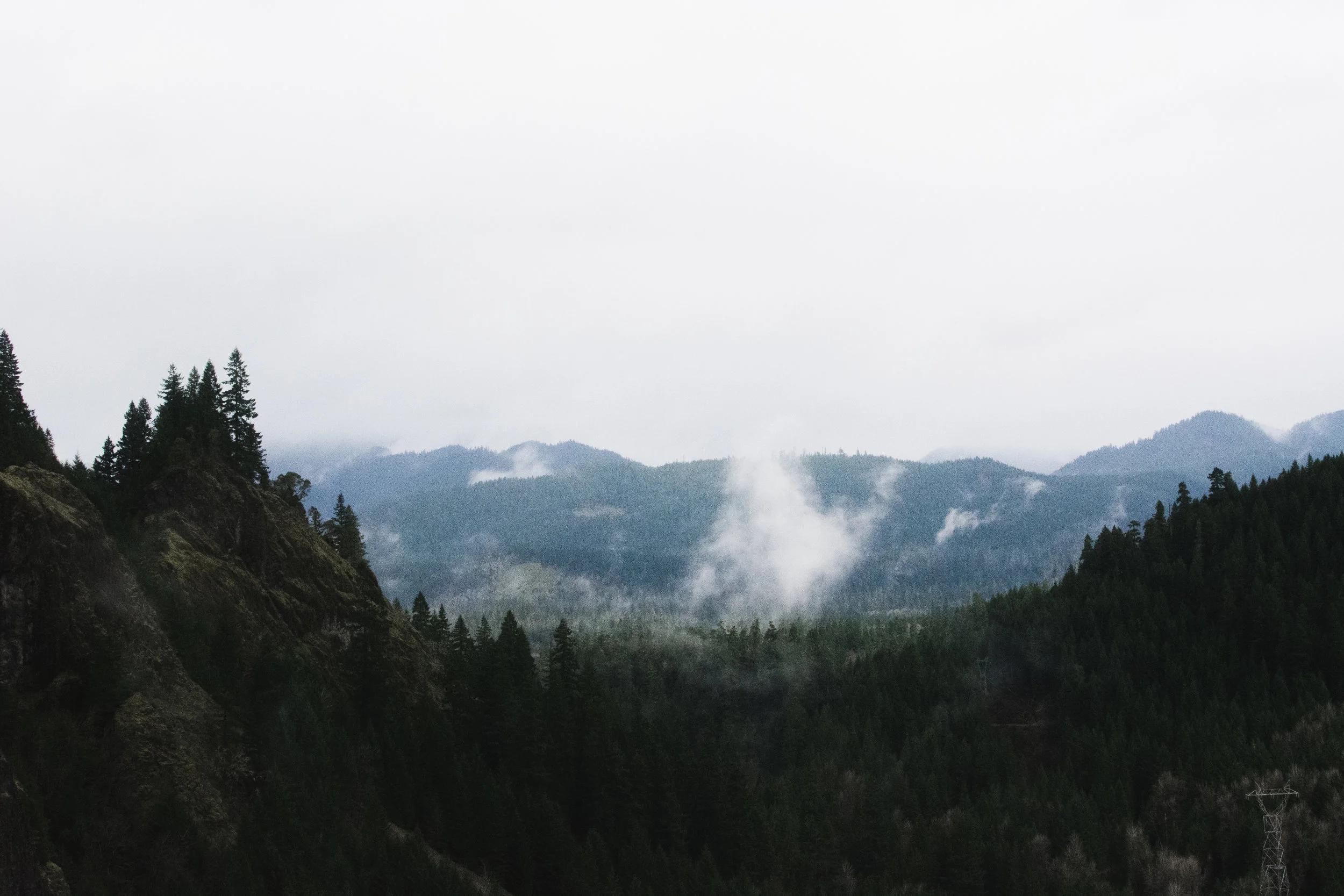 cougar hot springs