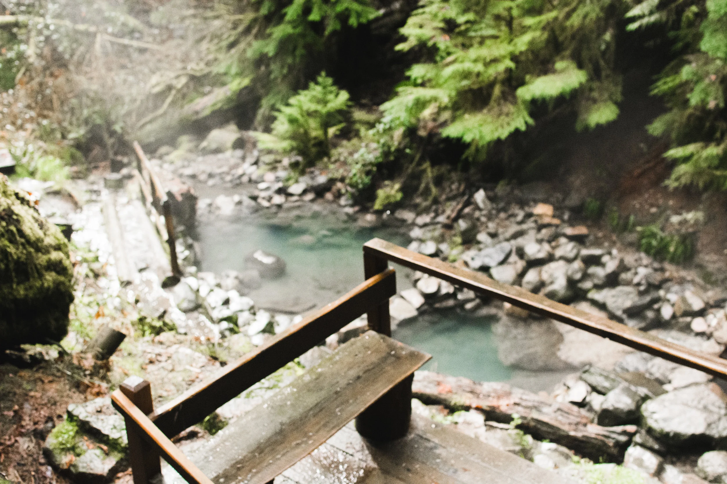 cougar hot springs