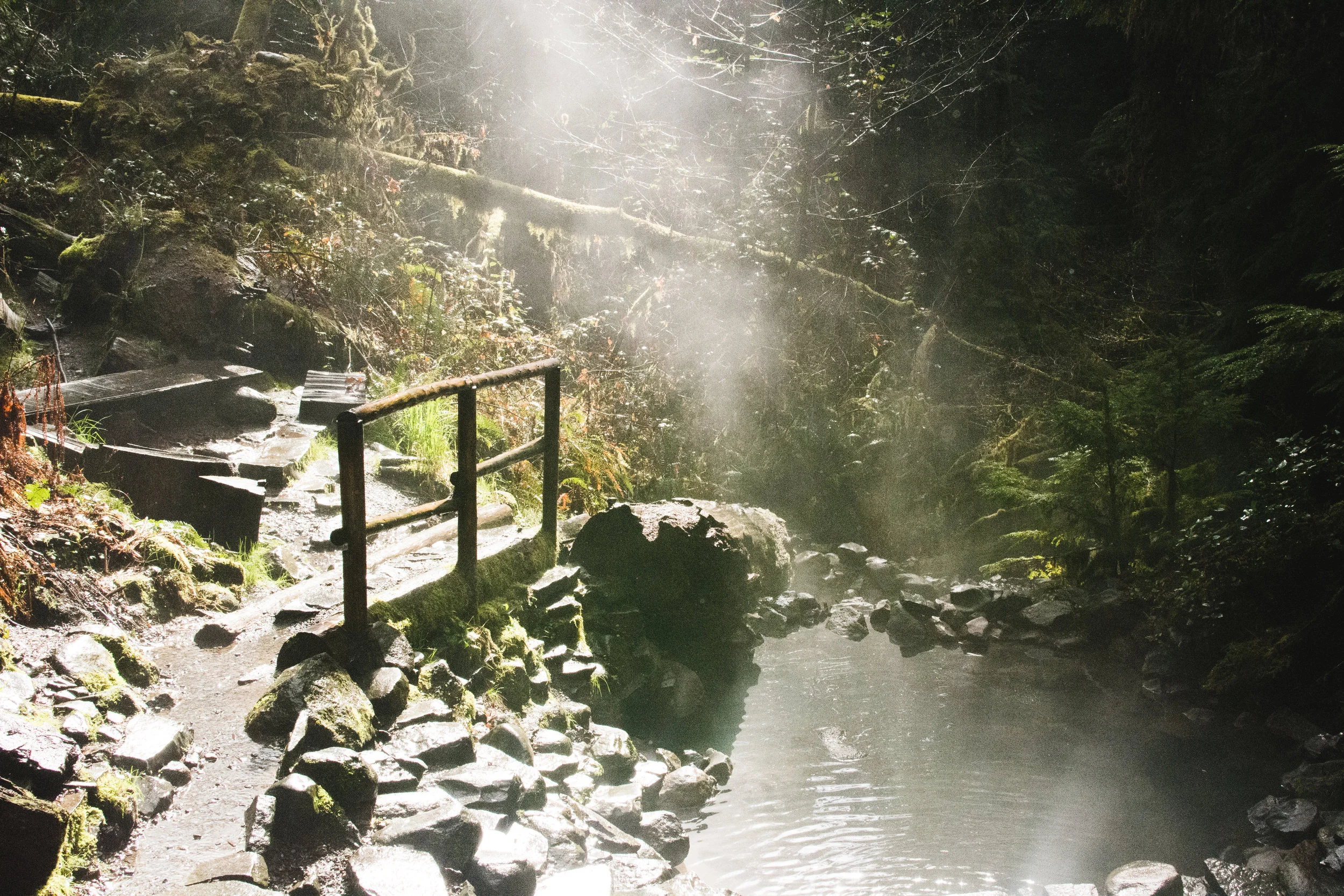 cougar hot springs